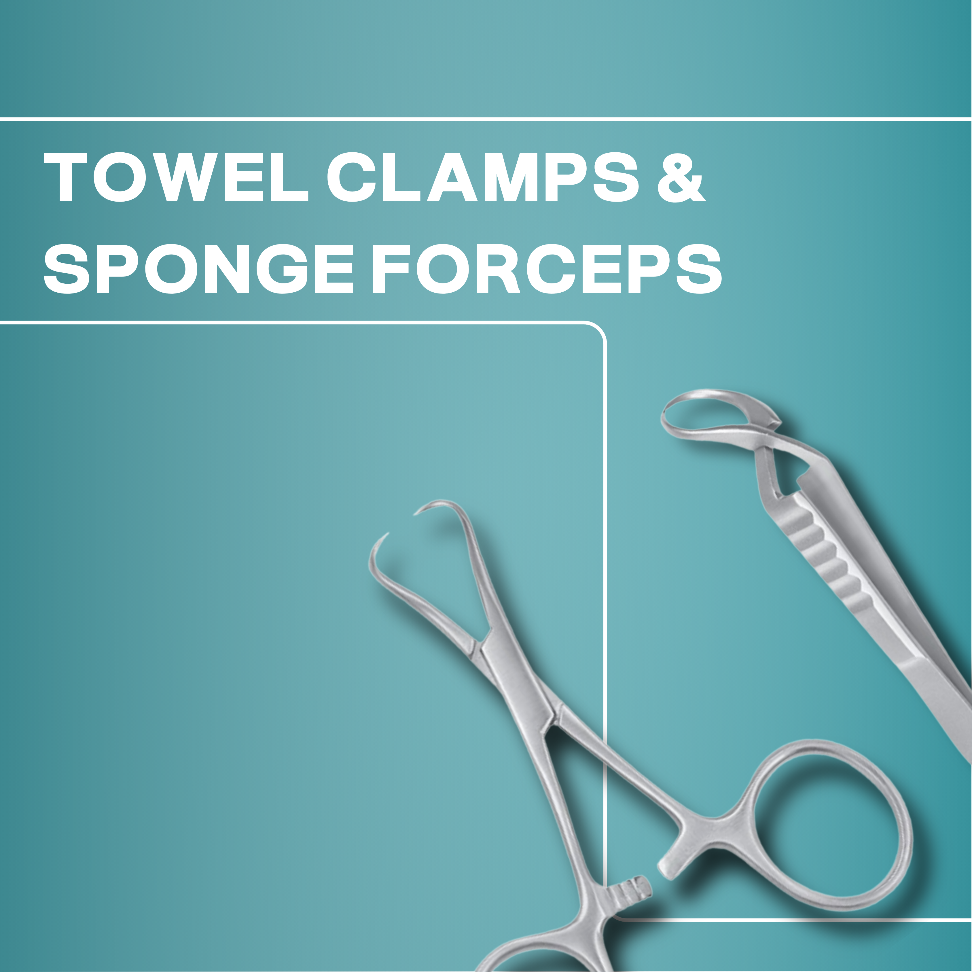 Towel Clamps & Sponge Forceps