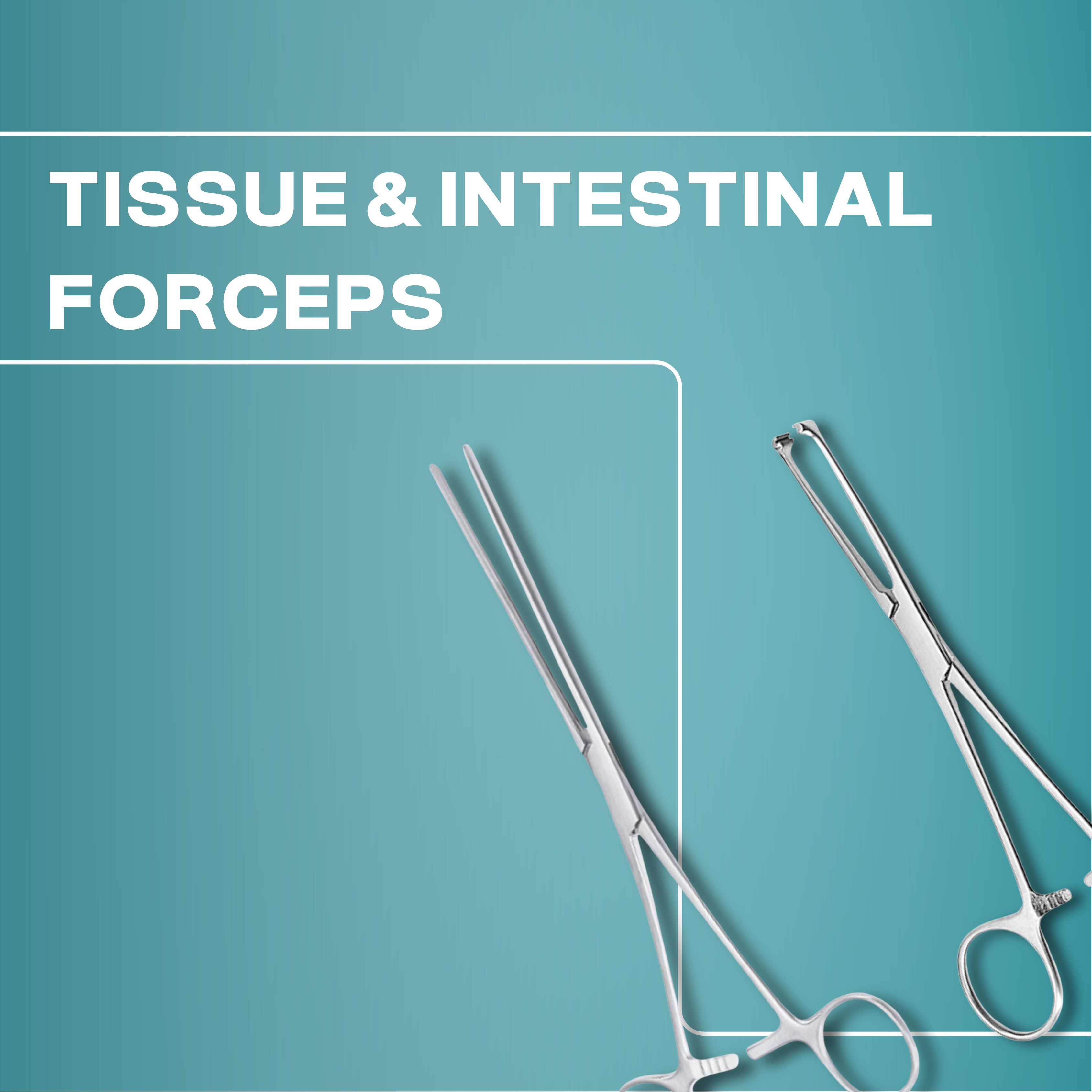 Tissue & Intestinal Forceps