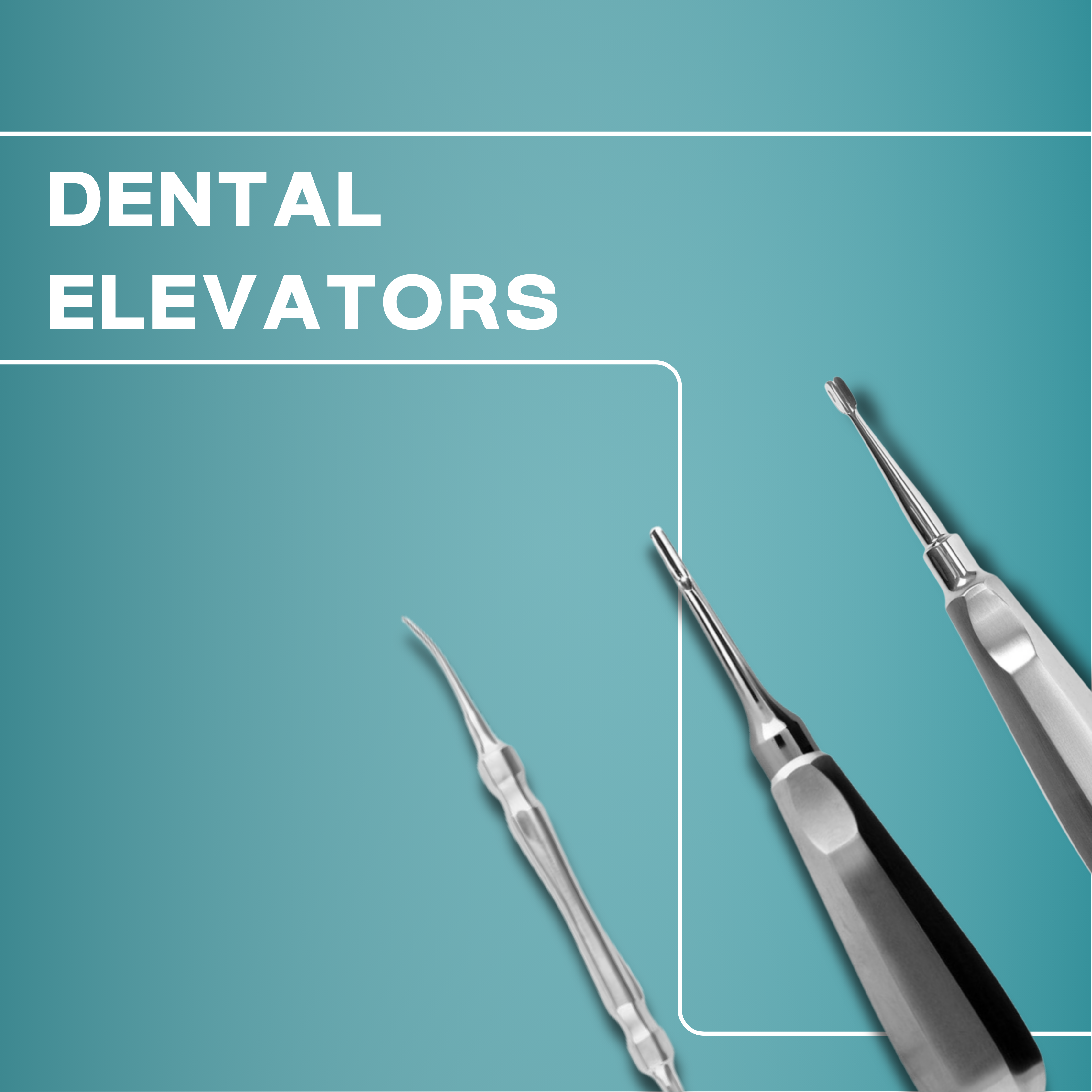 Dental Elevators