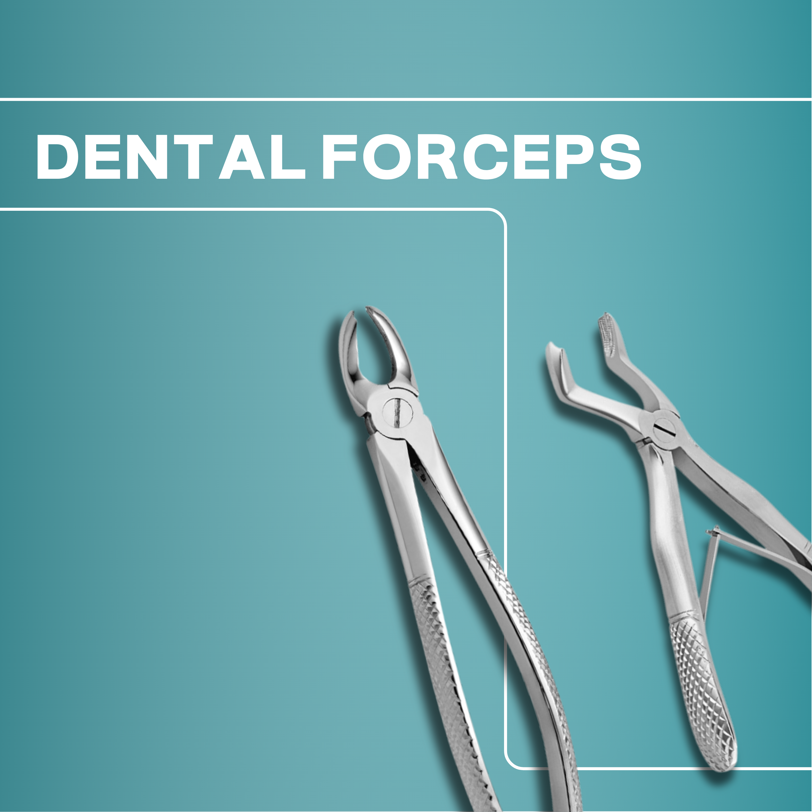 Dental Forceps