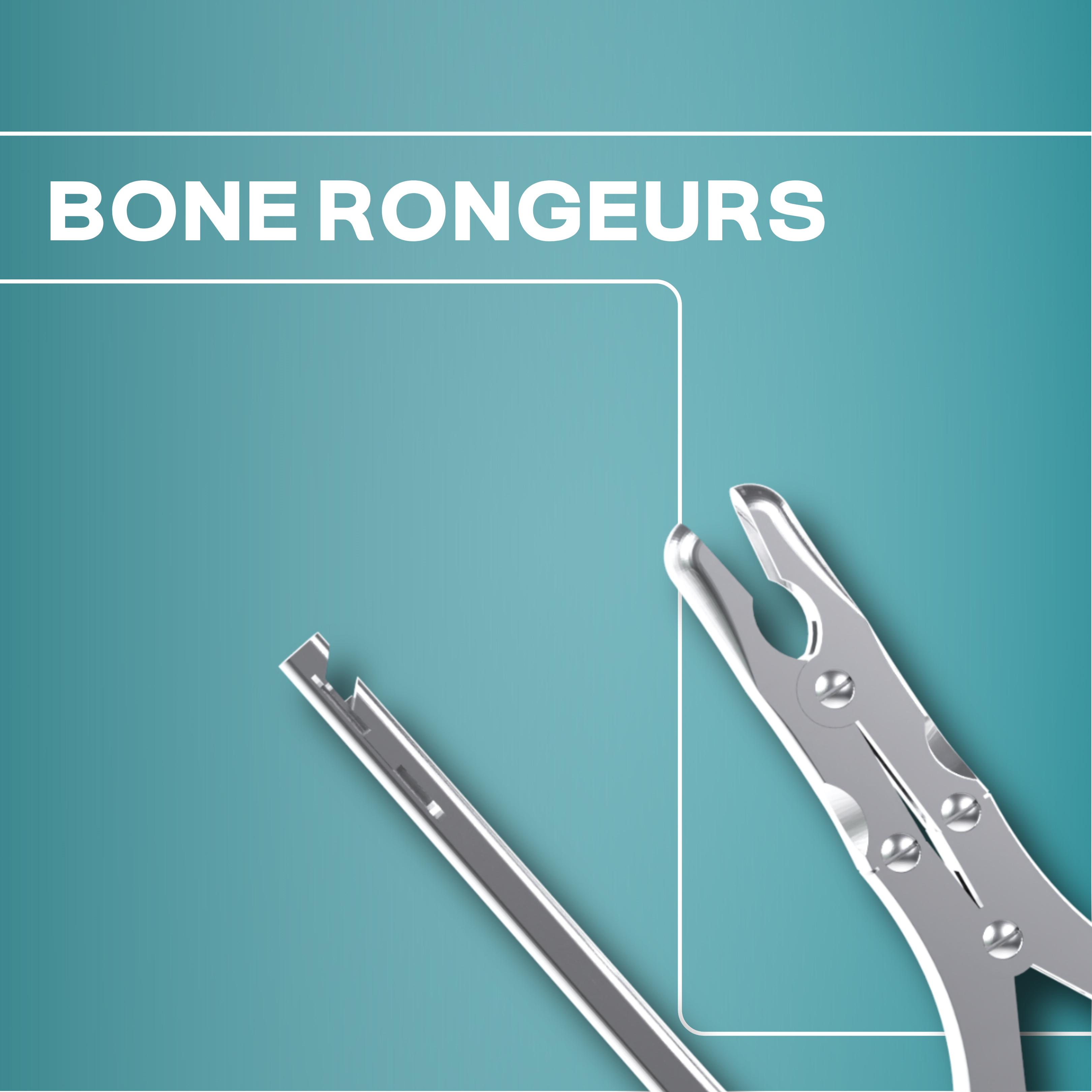 Bone Rongeurs