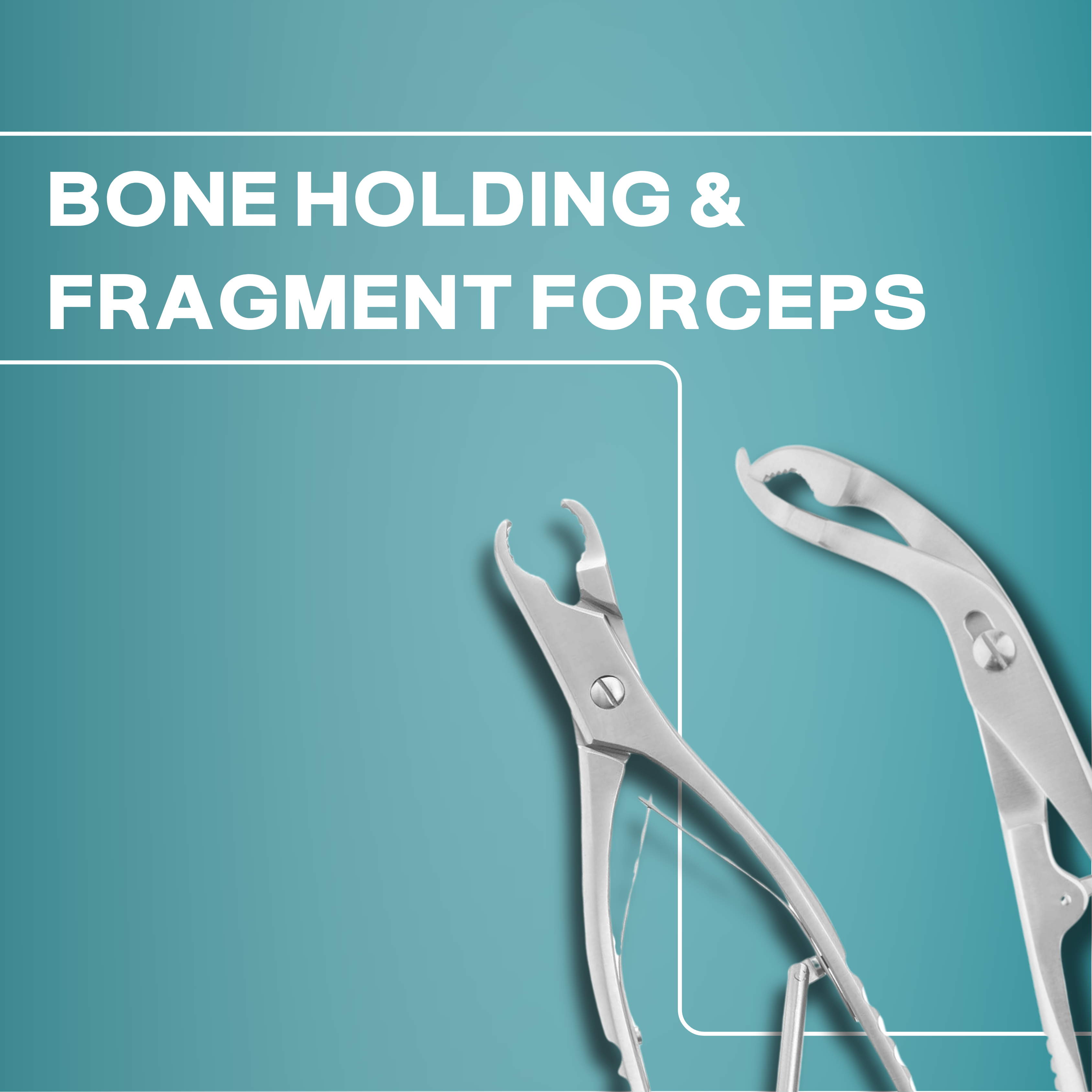 Bone Holding & Fragment Forceps