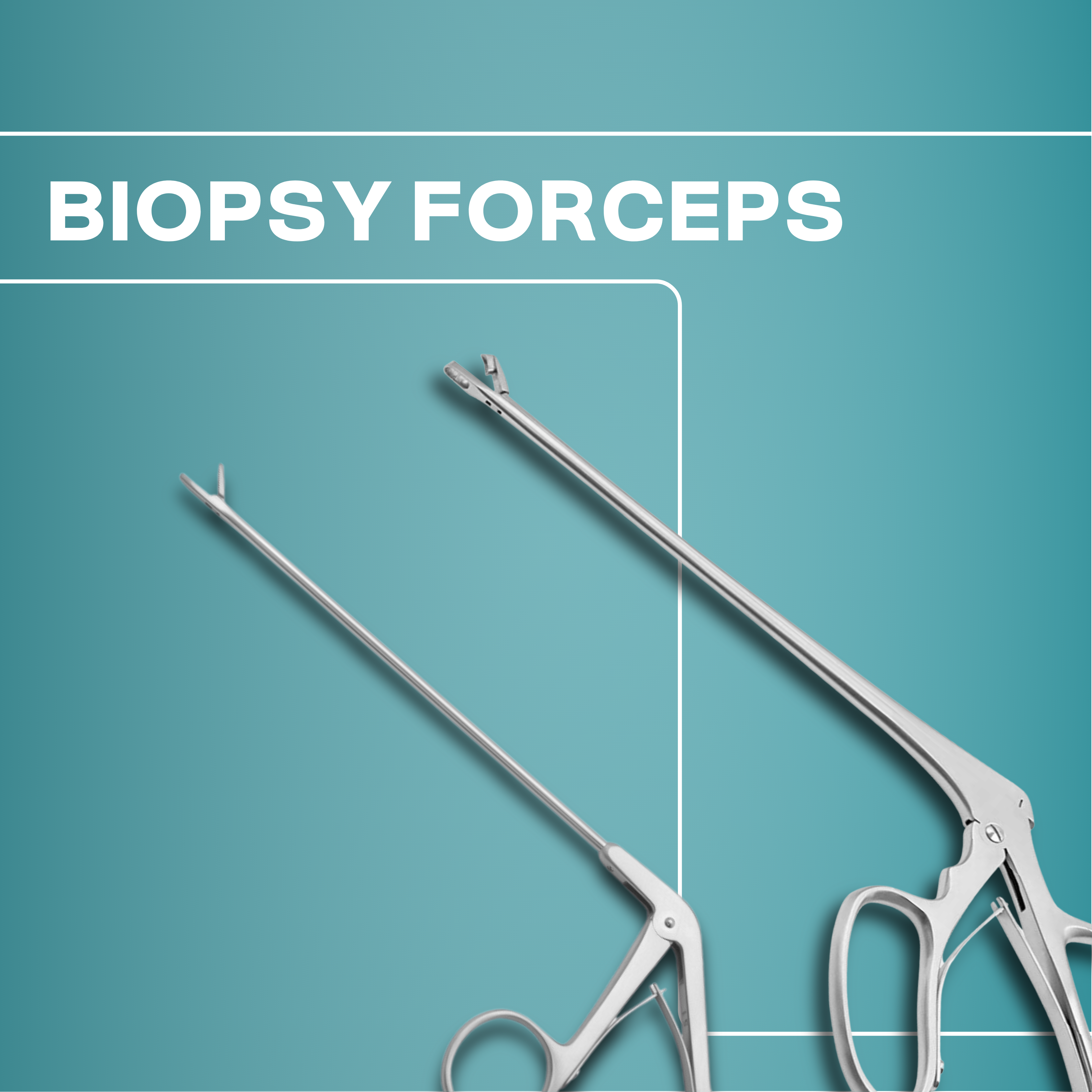 Biopsy Forceps