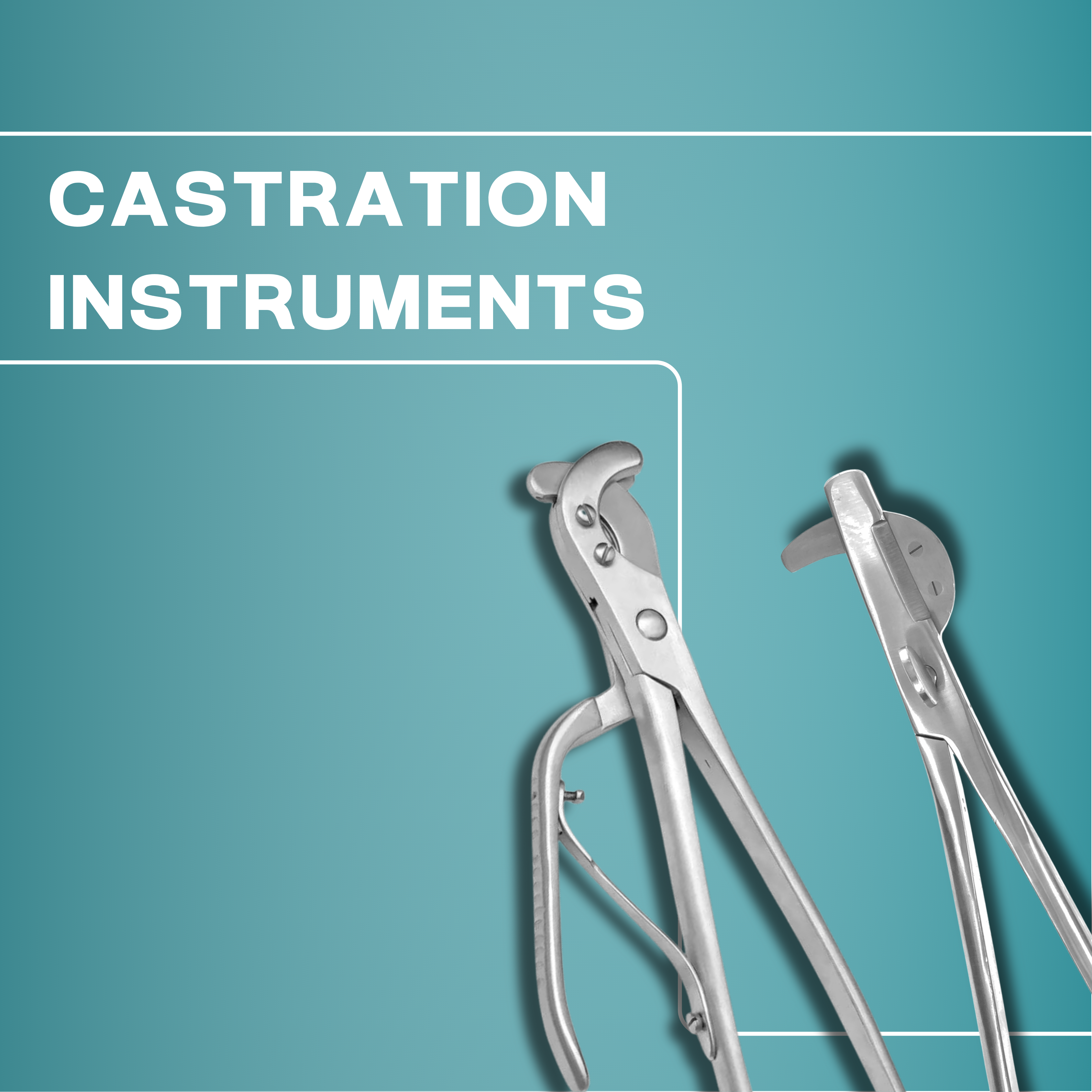 Castration Instruments