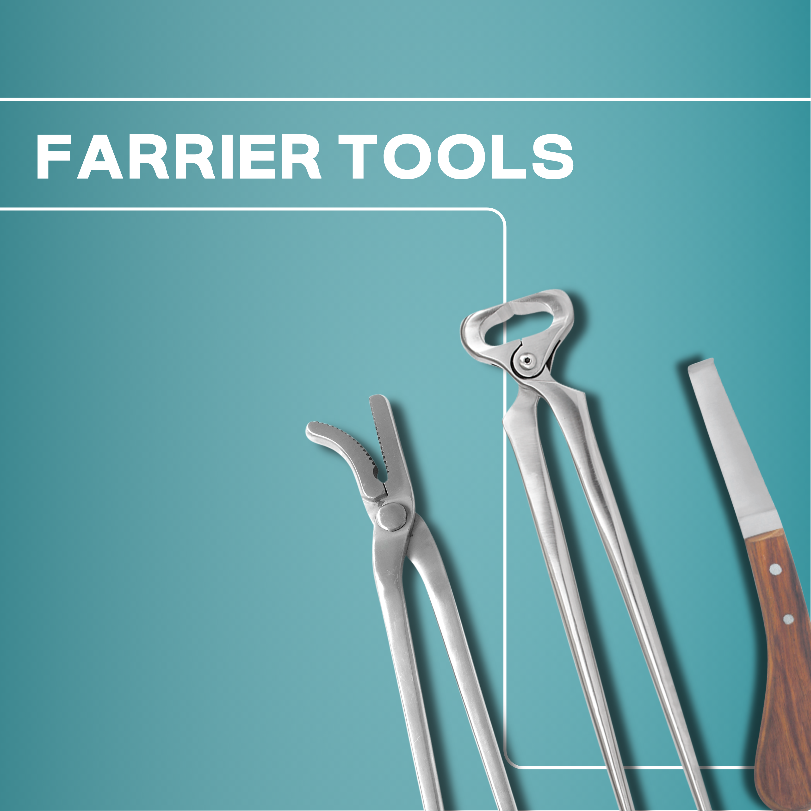 Farrier Tools