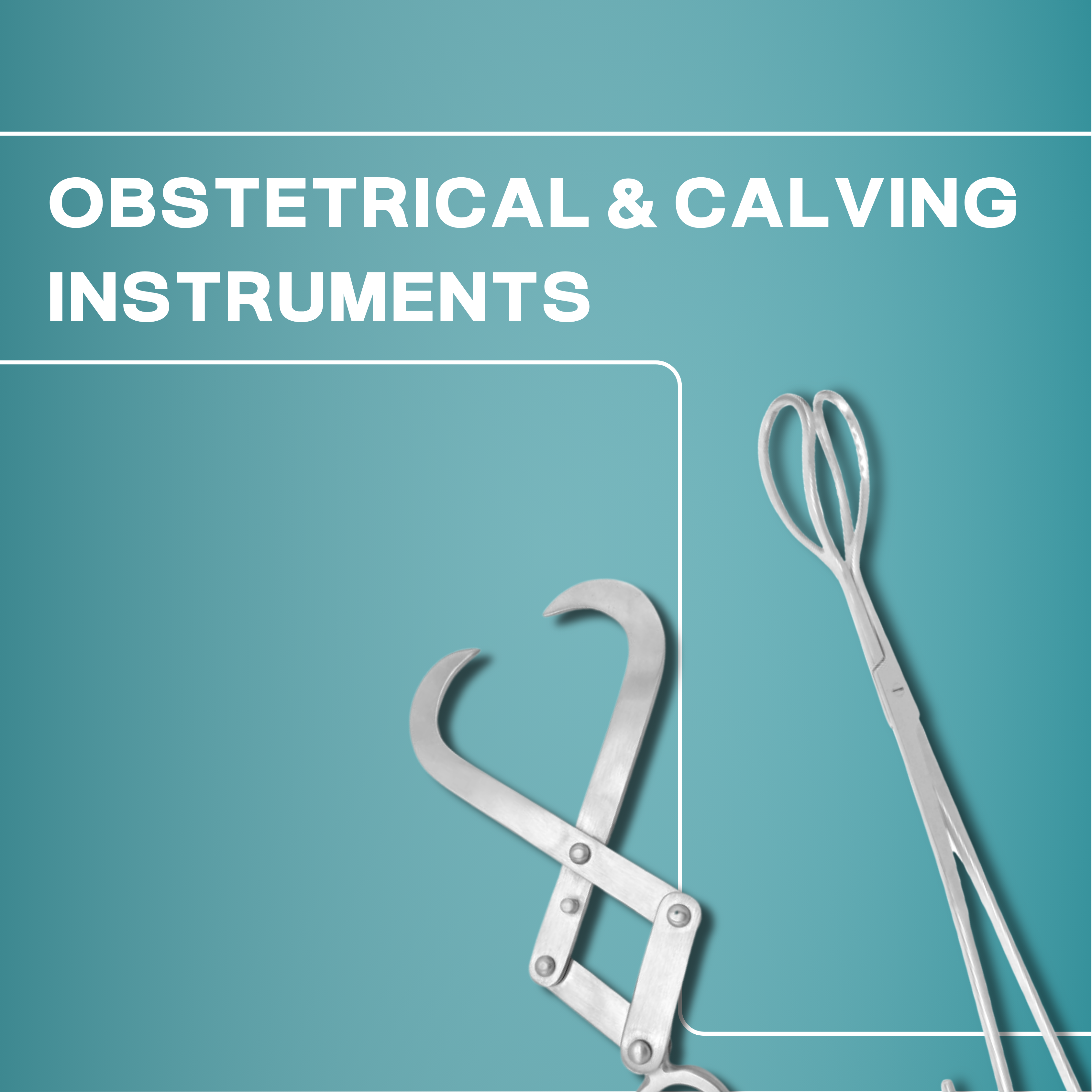 Obstetrical & Calving Instruments