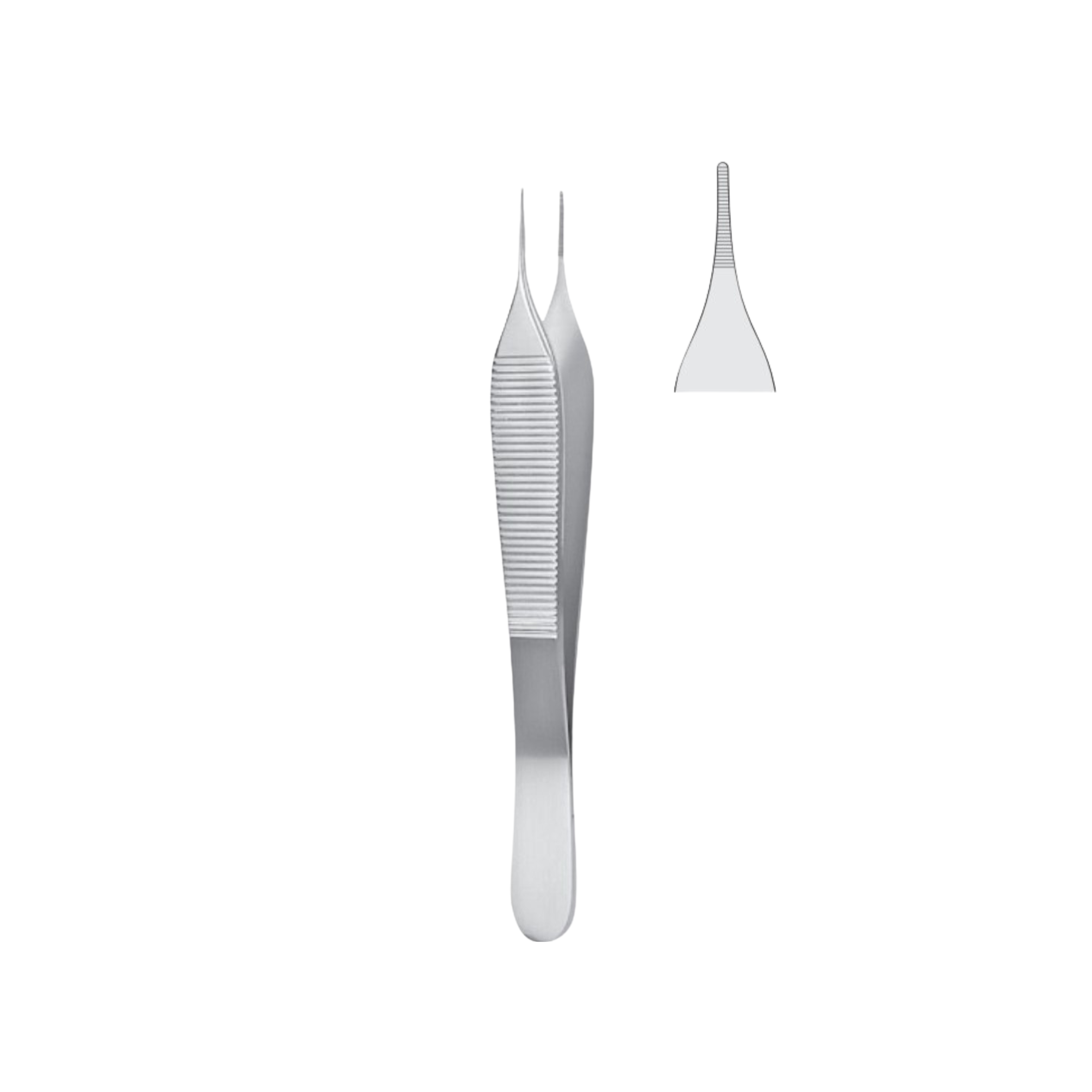 Adson Dressing Forceps, 15.0 cm (03-010-15)