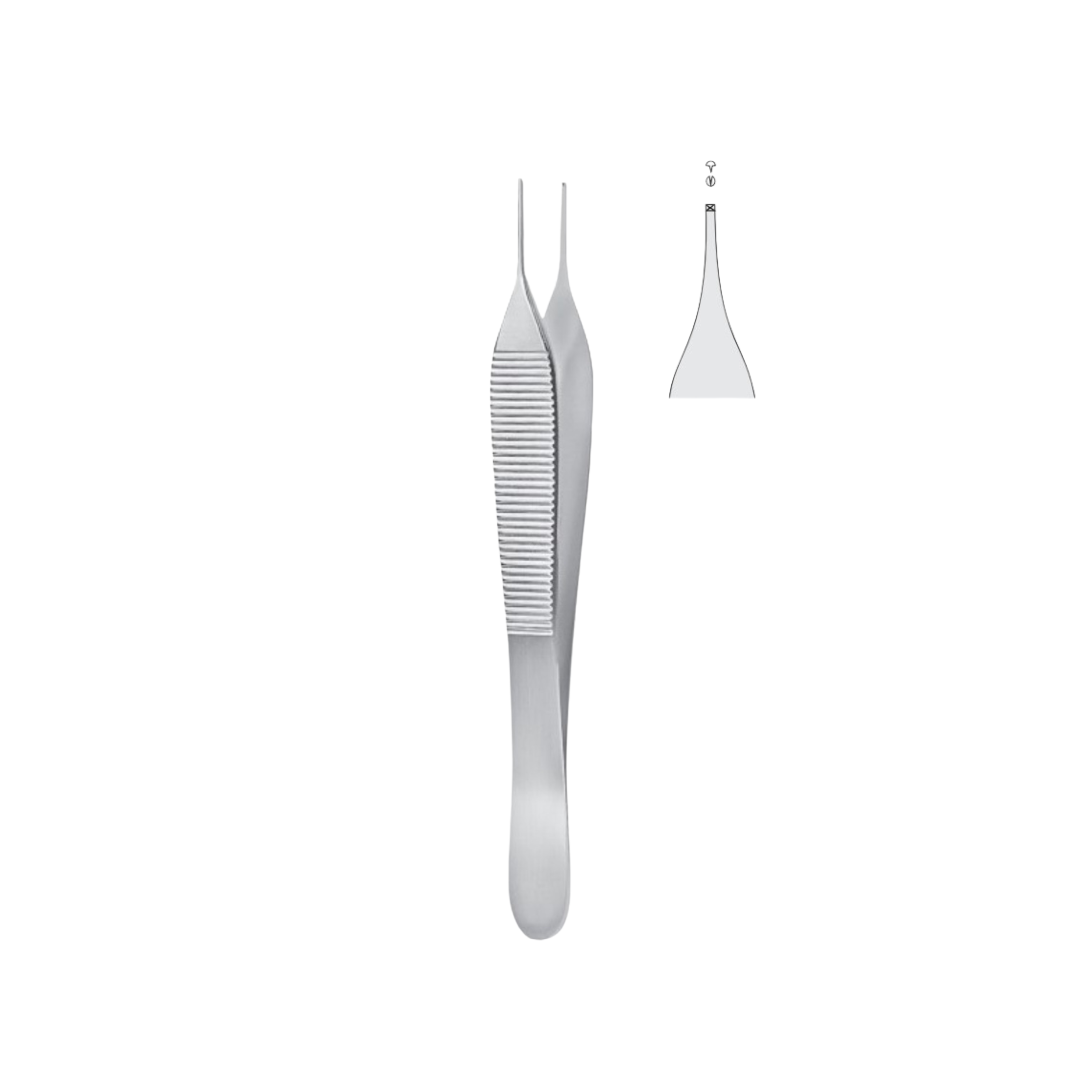 Adson Tissue Forceps, 1x2 Teeth, 12.0 cm (03-011-12)