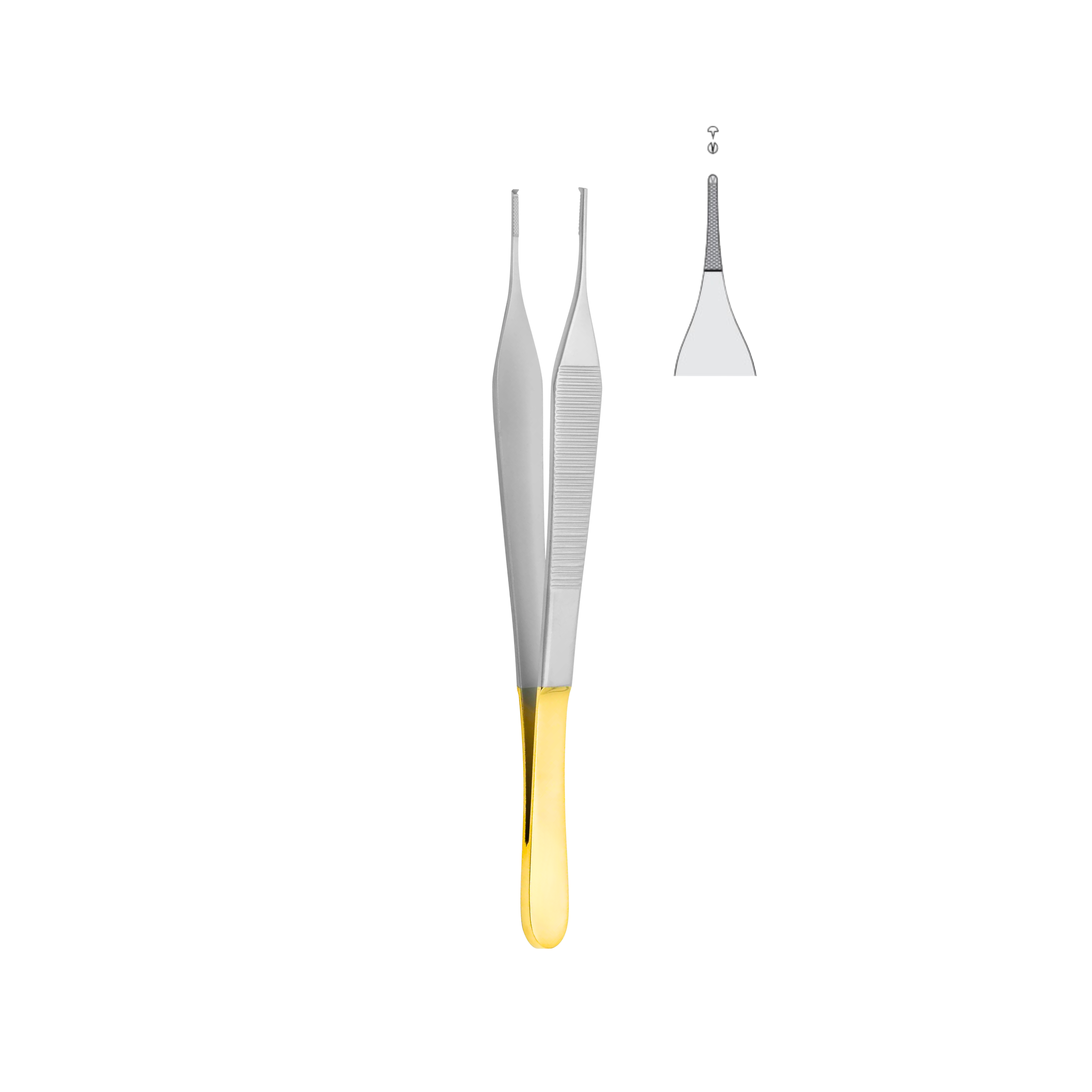 Adson Tissue Forceps, 1x2 Teeth, Tungsten Carbide, 12.0 cm (03-012-12TC)
