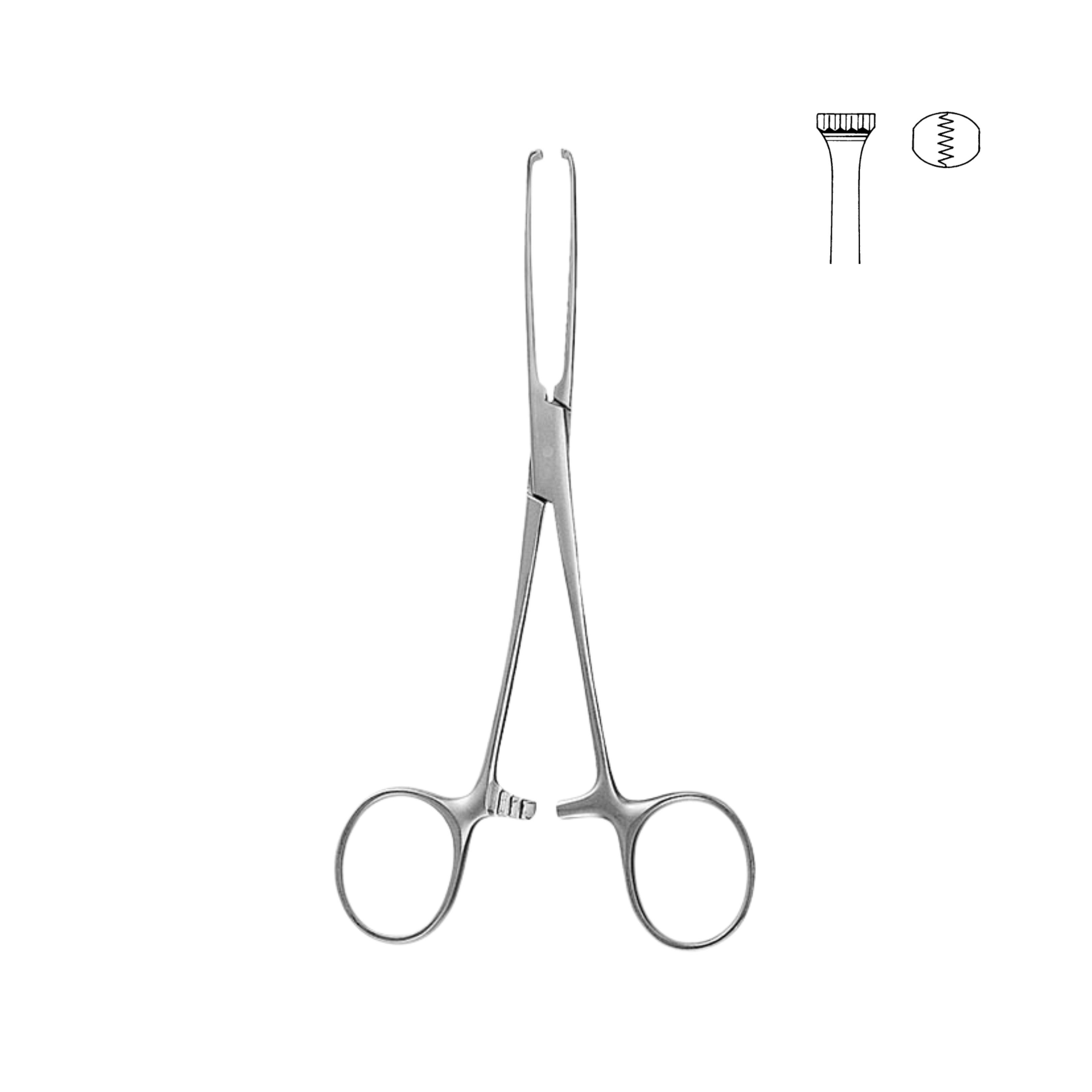Allis Tissue Forceps, 3x4 Teeth, 12.0 cm (07-030-12)