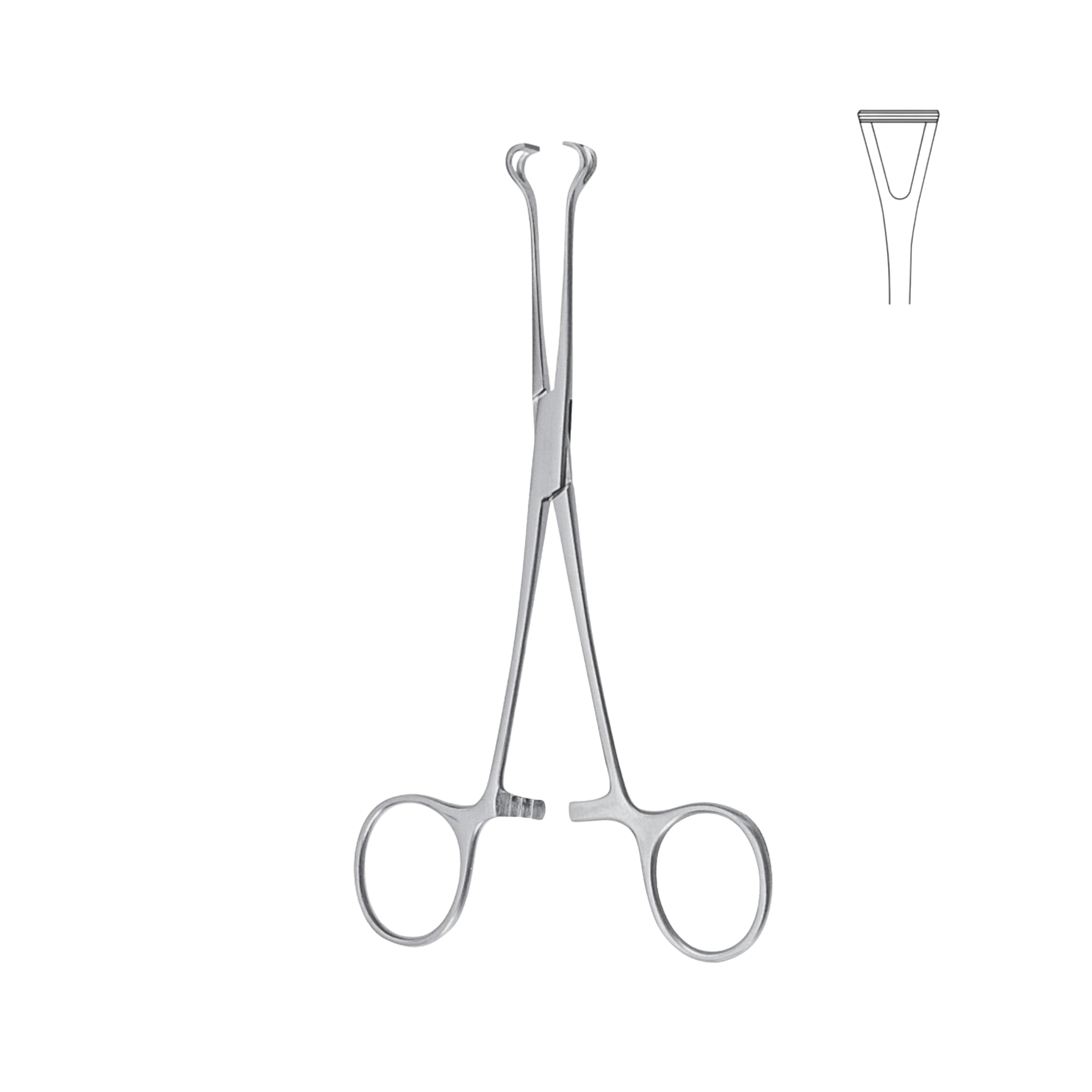 Babcock Tissue Forceps, 20.0 cm (07-040-20)