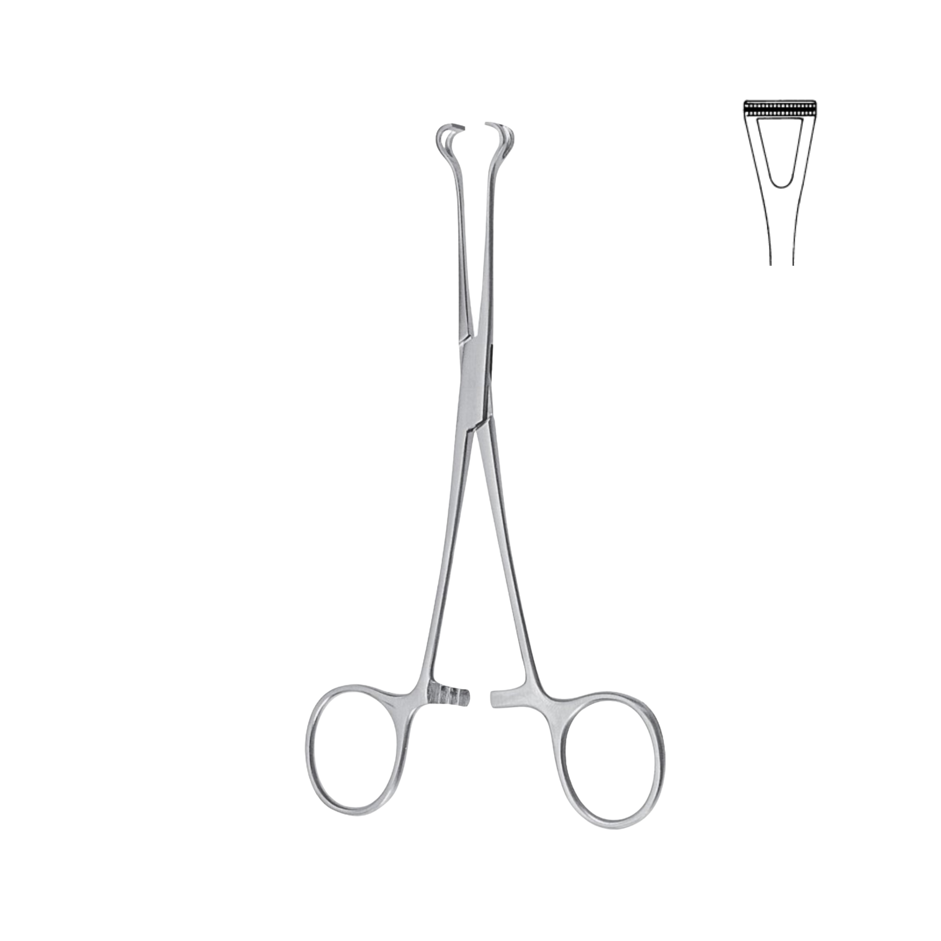 Babcock Tissue Forceps, Atraumatic, 20.0 cm (07-041-20)