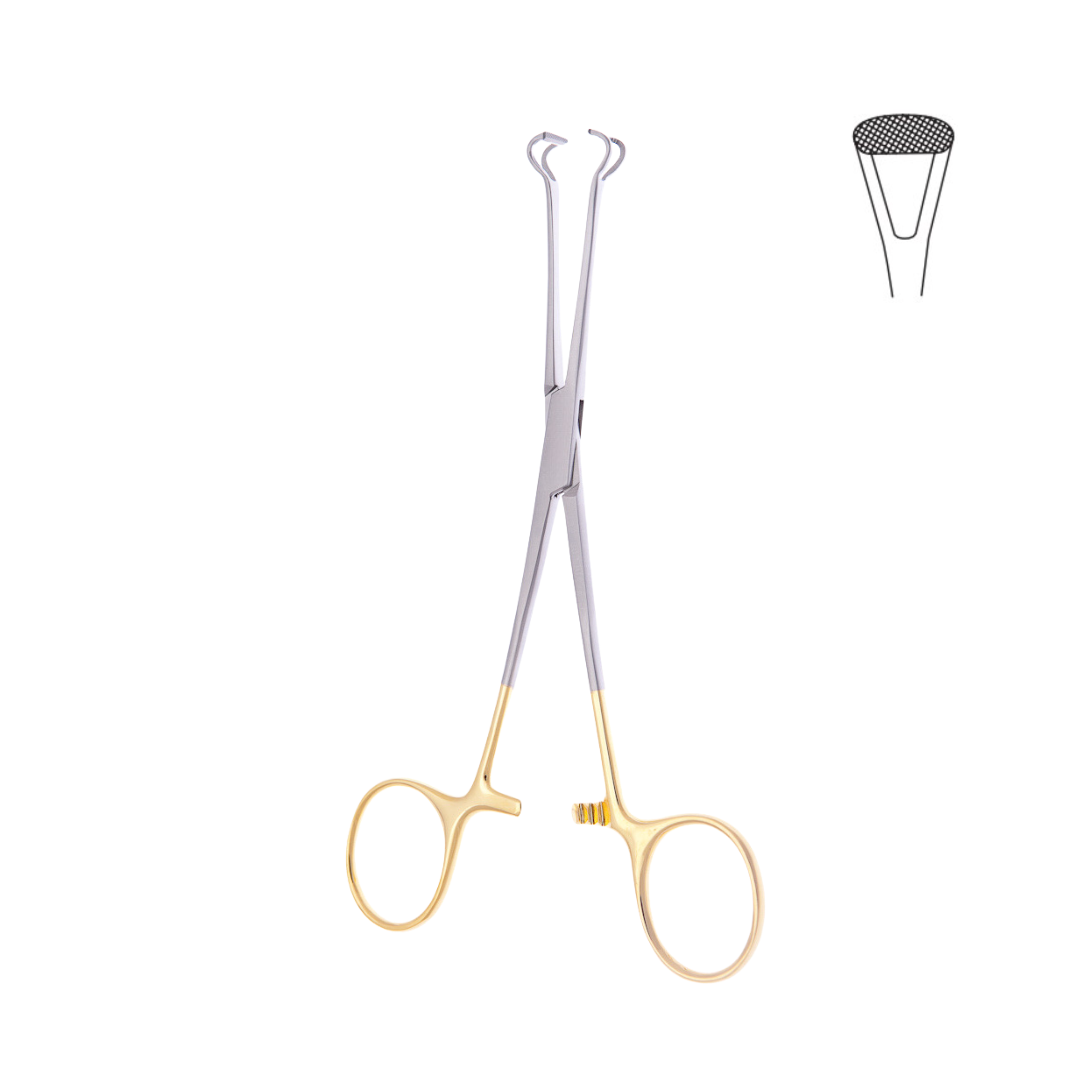 Babcock Tissue Forceps, Tungsten Carbide, 16.0 cm (07-040-16TC)