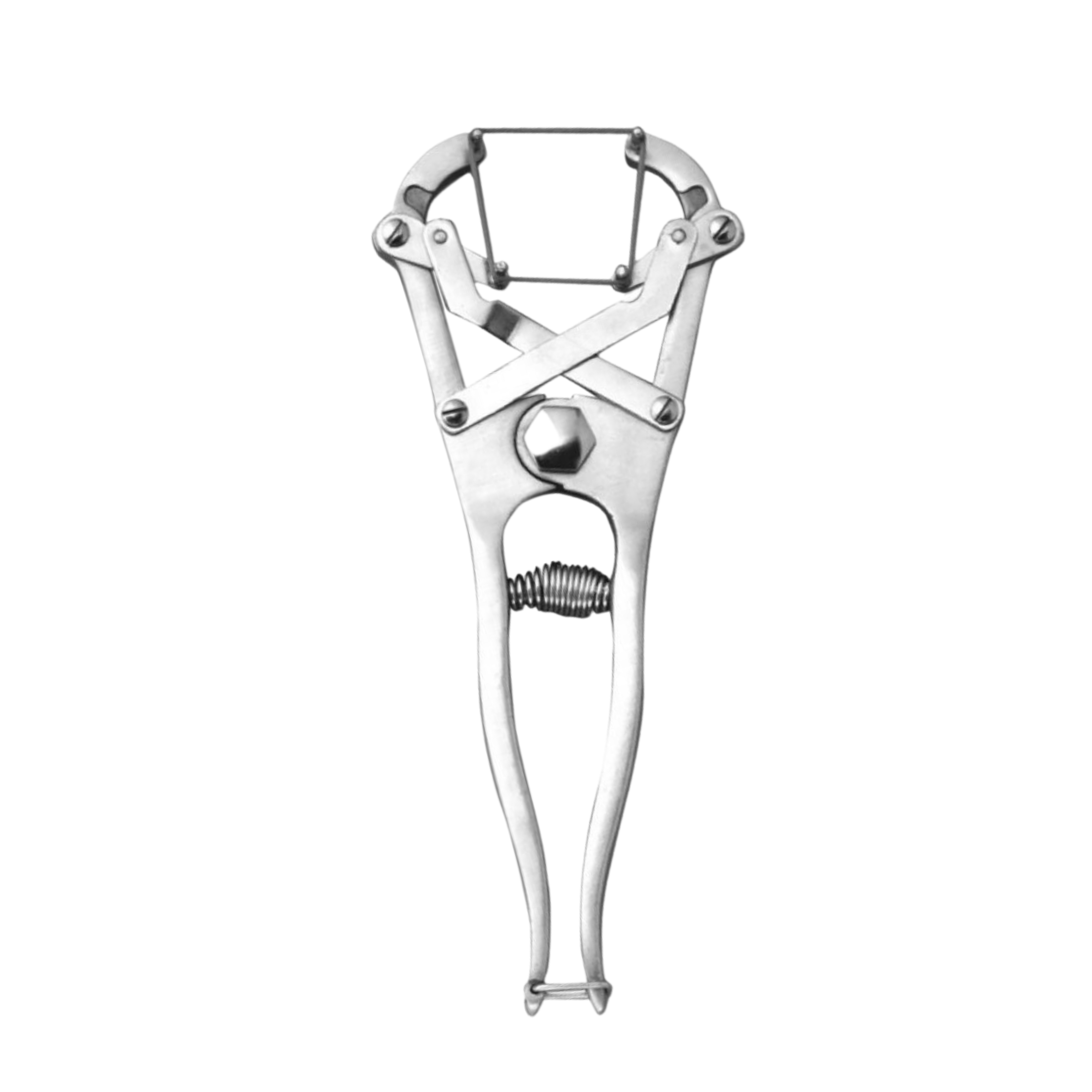 Band Castrator, 25.0 cm (50-100-25)