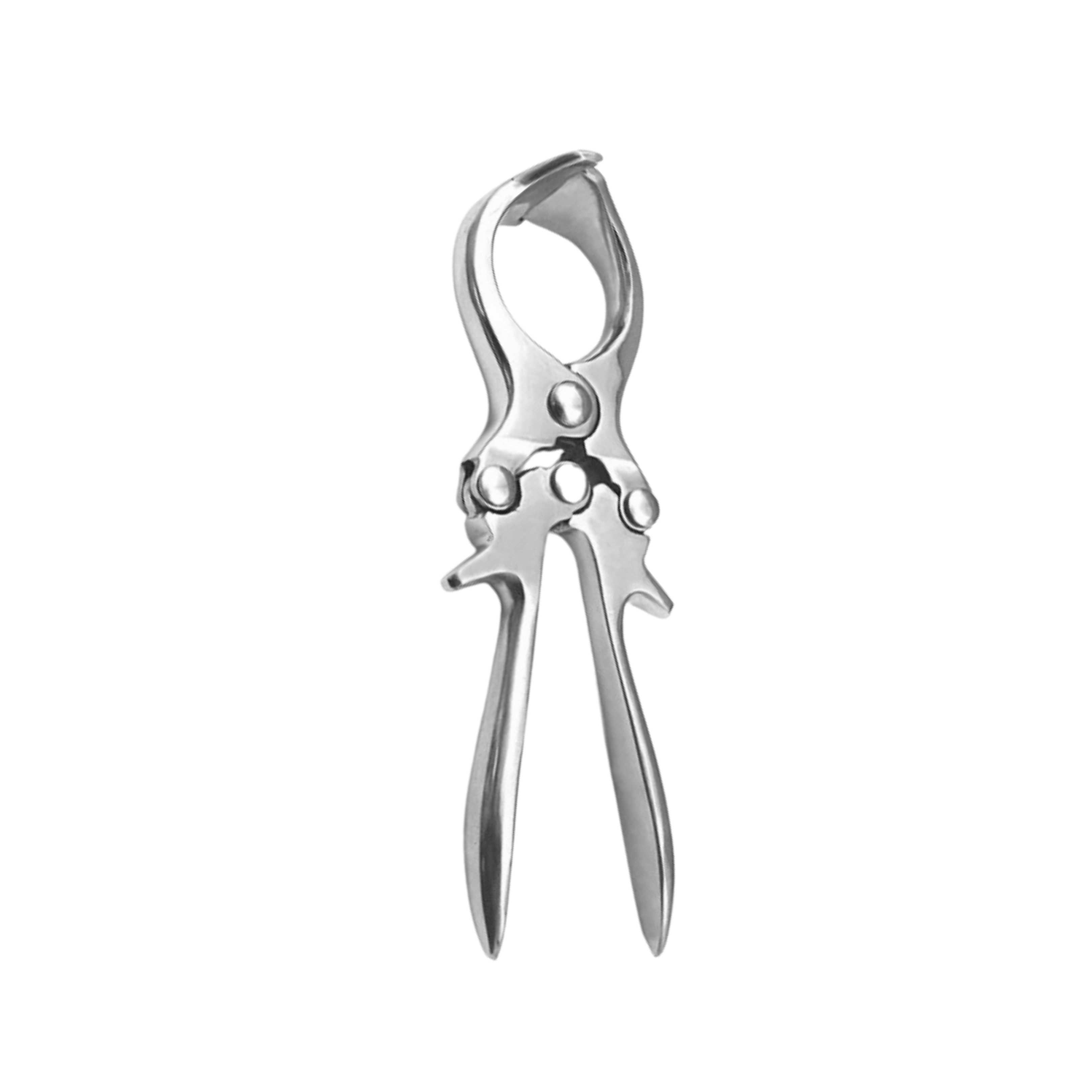 Burdizzo Castrator, 23.0 cm (50-010-23)