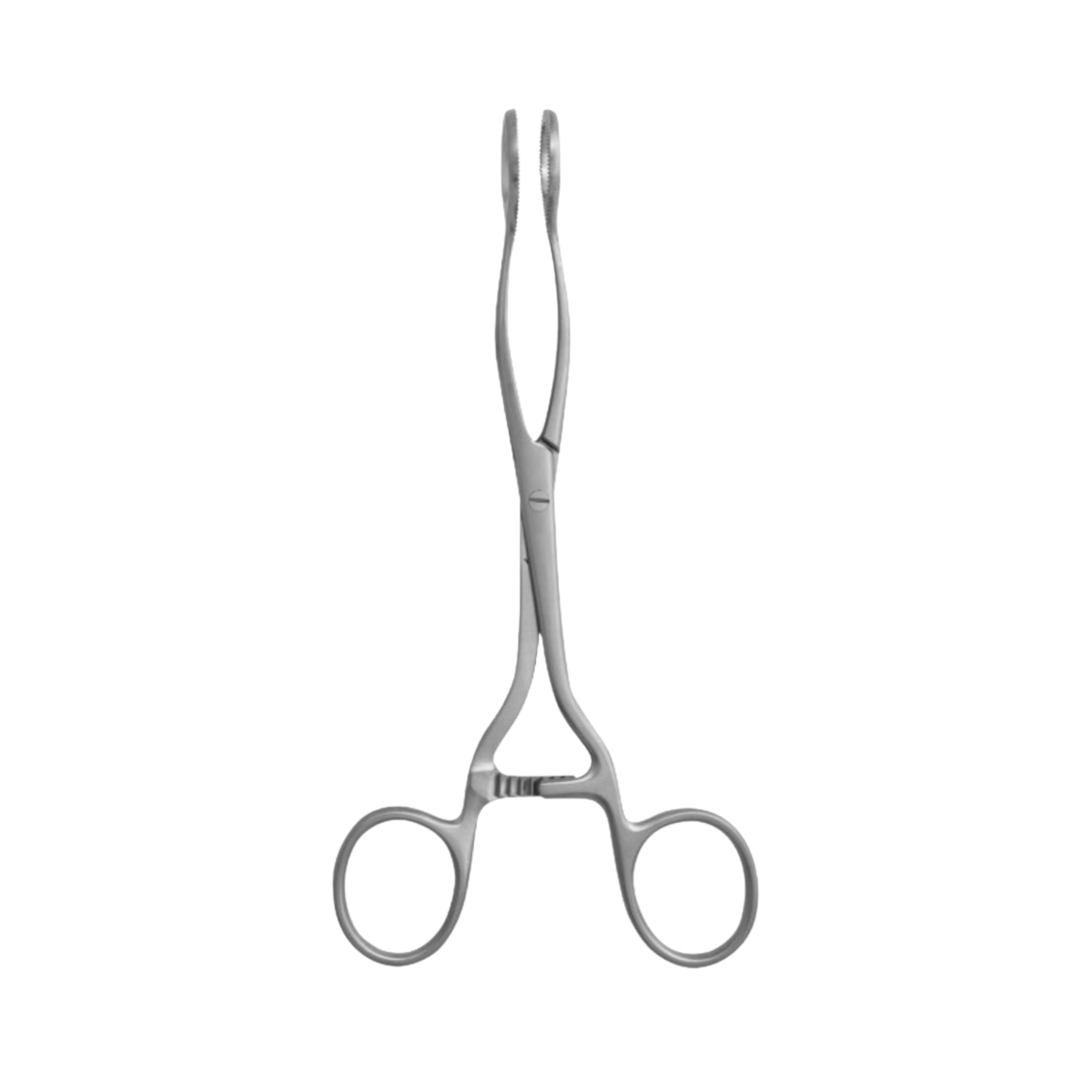 Collin Tongue Holding Forceps, 16.0 cm (20-031-16)