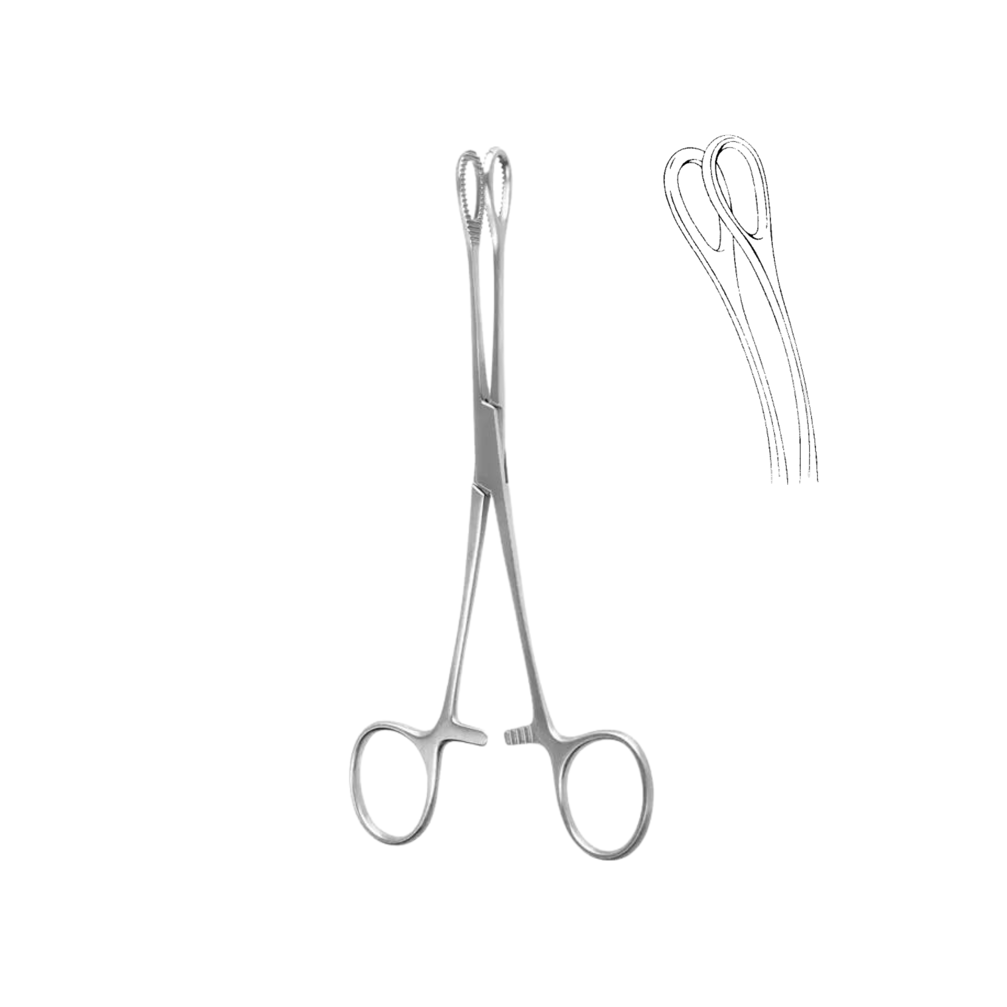 Foerster Sponge Forceps, Curved, Smooth, 18.0 cm (04-043-18)