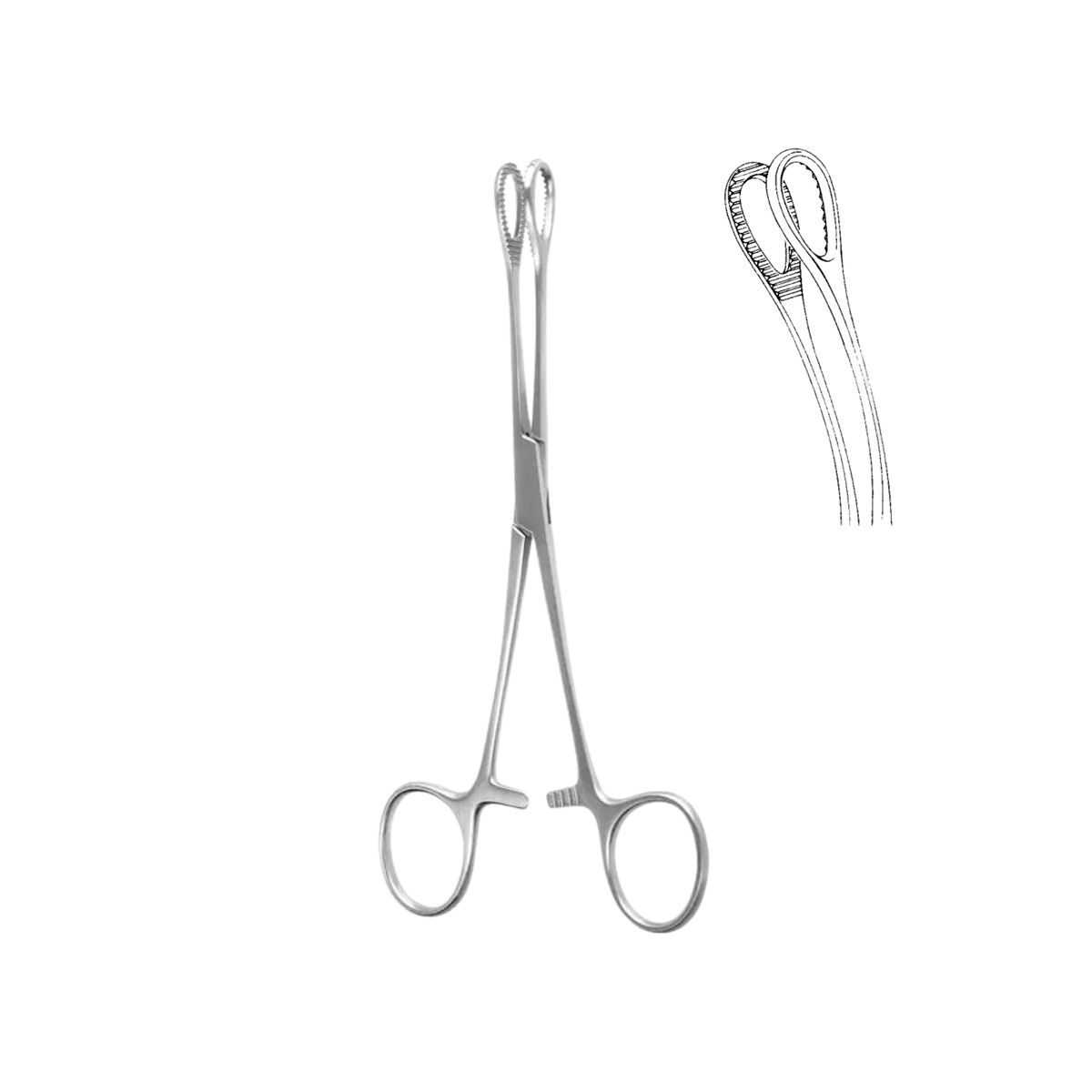 Foerster Sponge Forceps, Curved, Serrated, 18.0 cm (04-041-18)