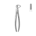 Dental Forceps, Lower Centrals & Roots (13-051-00)