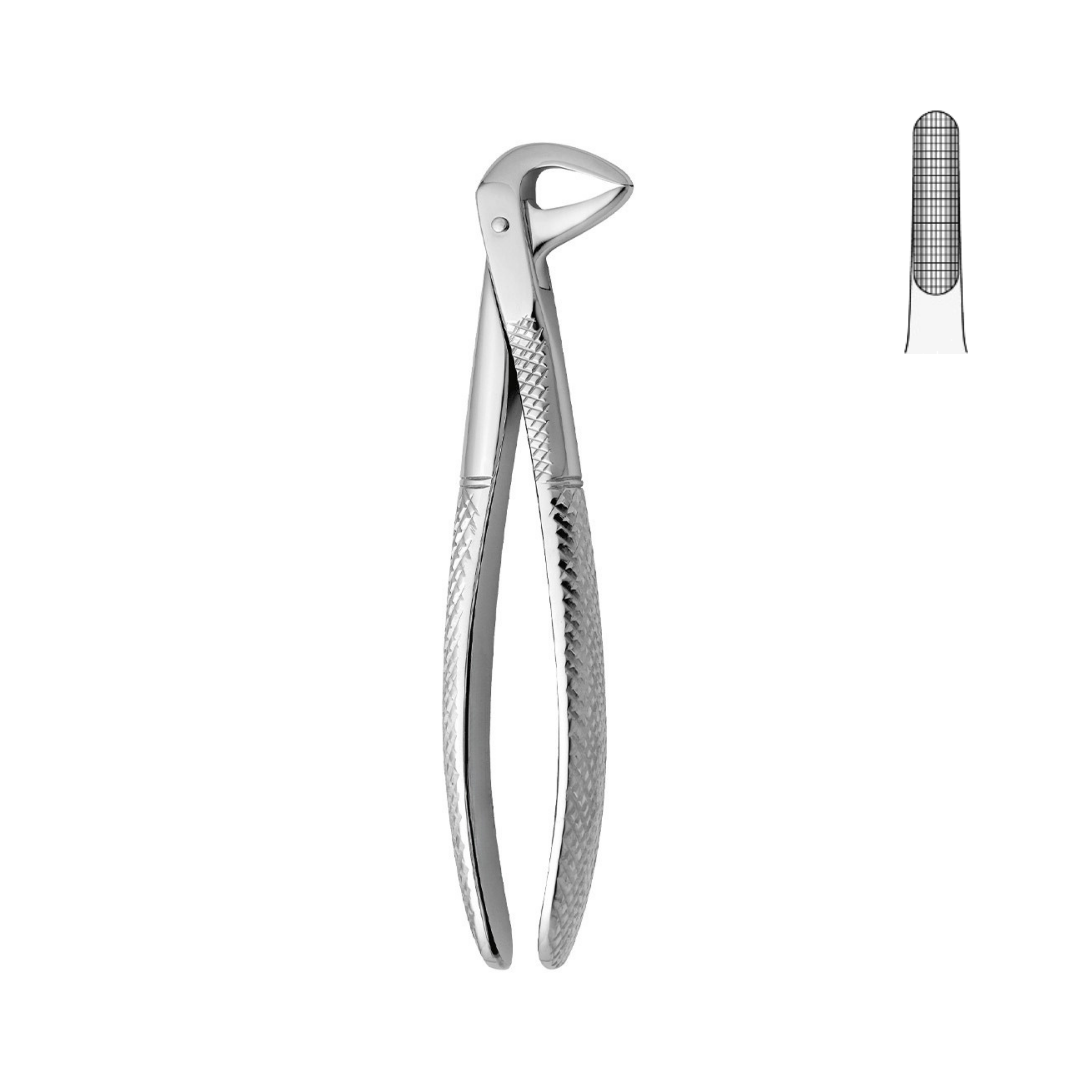 Dental Forceps, Lower Centrals & Roots (13-051-00)