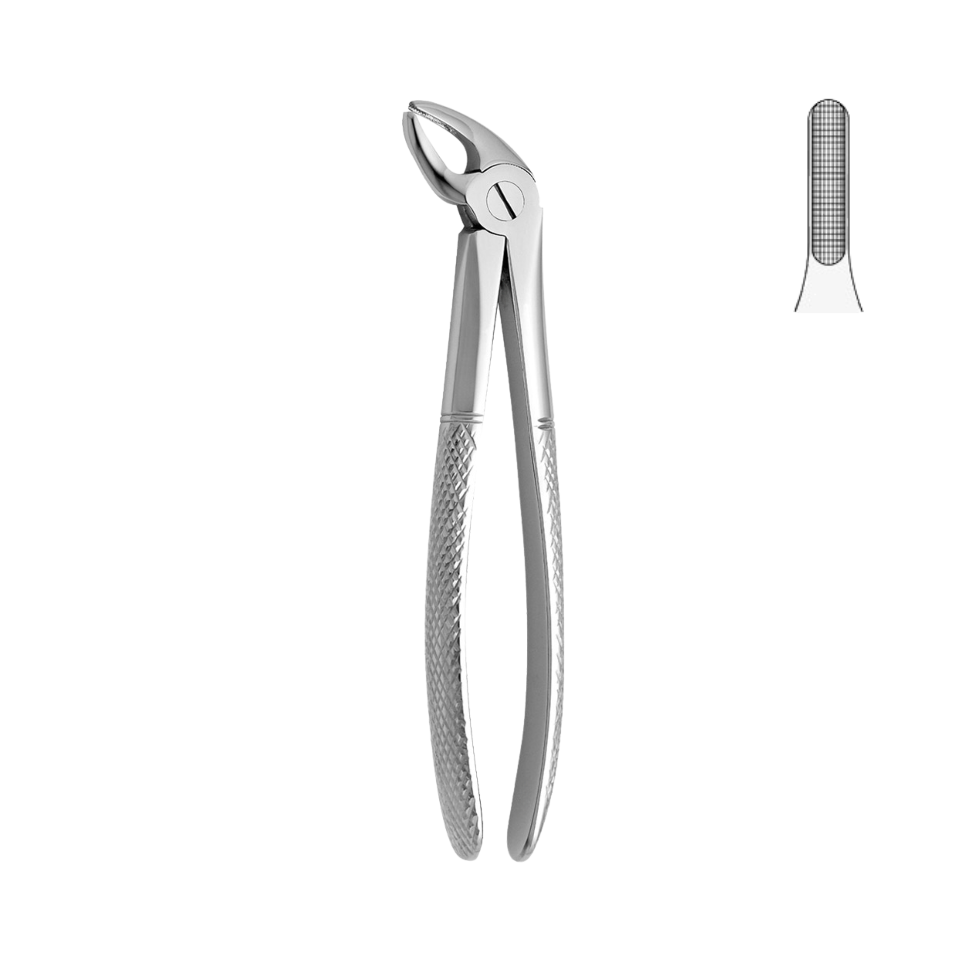 Dental Forceps, Lower Incisors & Canines (13-050-00)