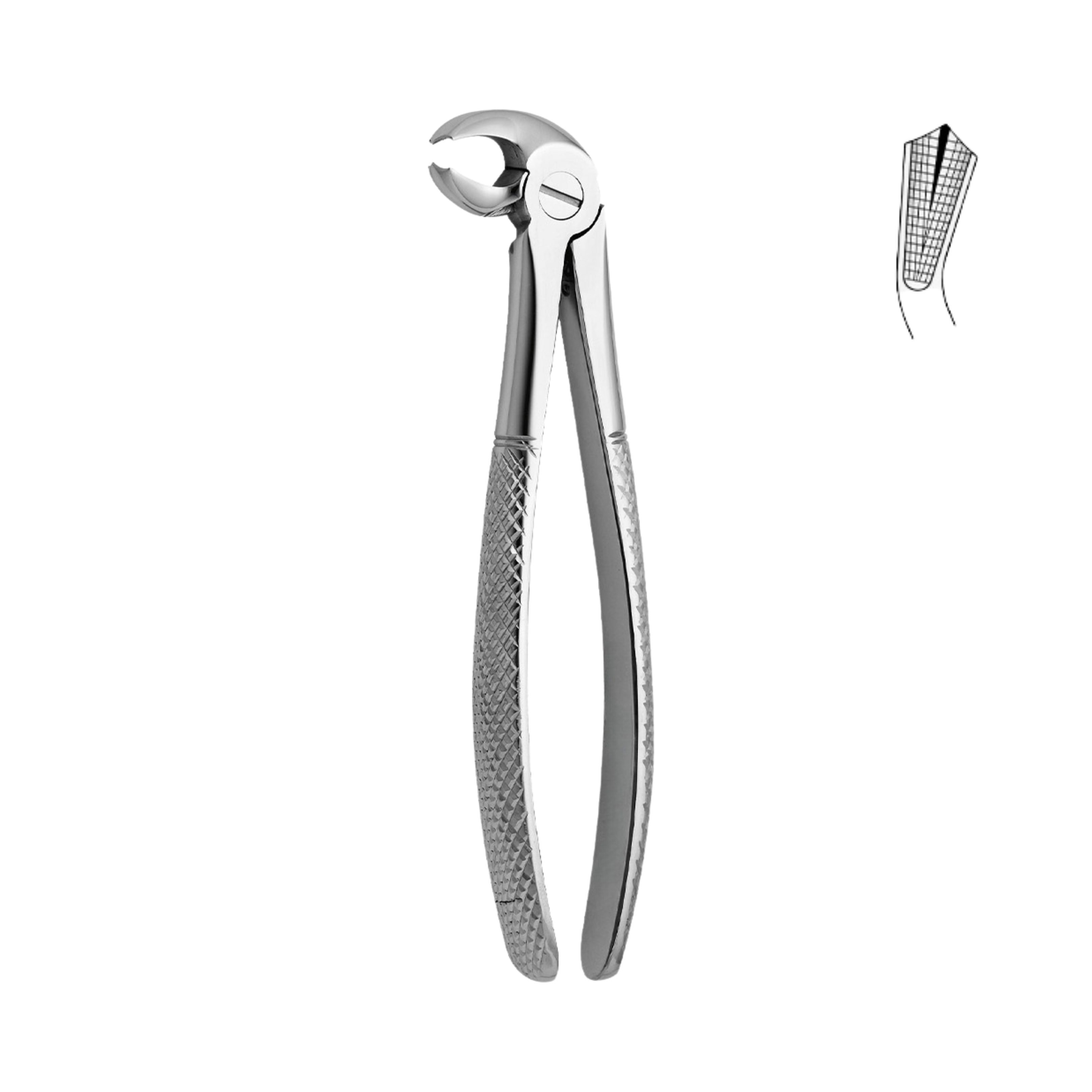 Dental Forceps, Lower Molars, Left (13-049-00L)
