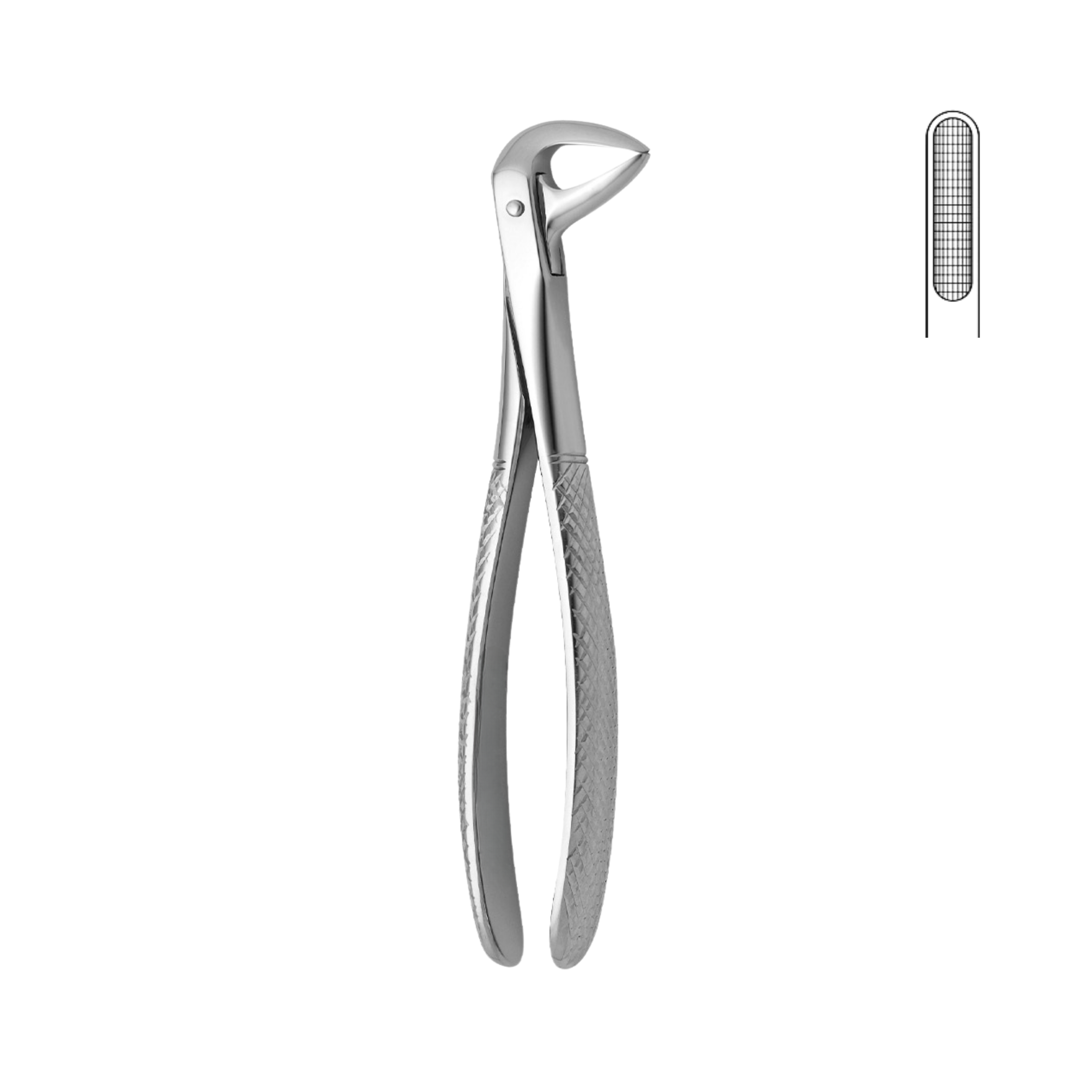 Dental Forceps, Lower Roots & Incisors (13-045-00)