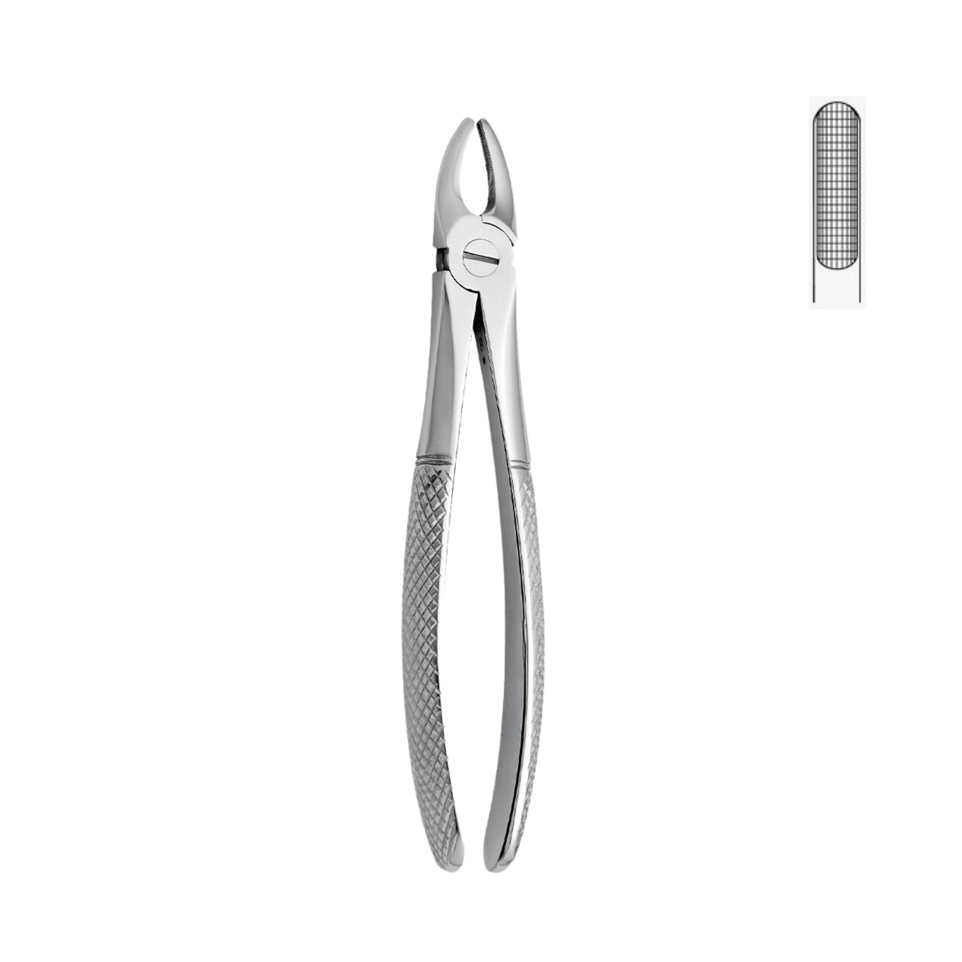Dental Forceps, Upper Centrals & Canines, Wide (13-047-00)