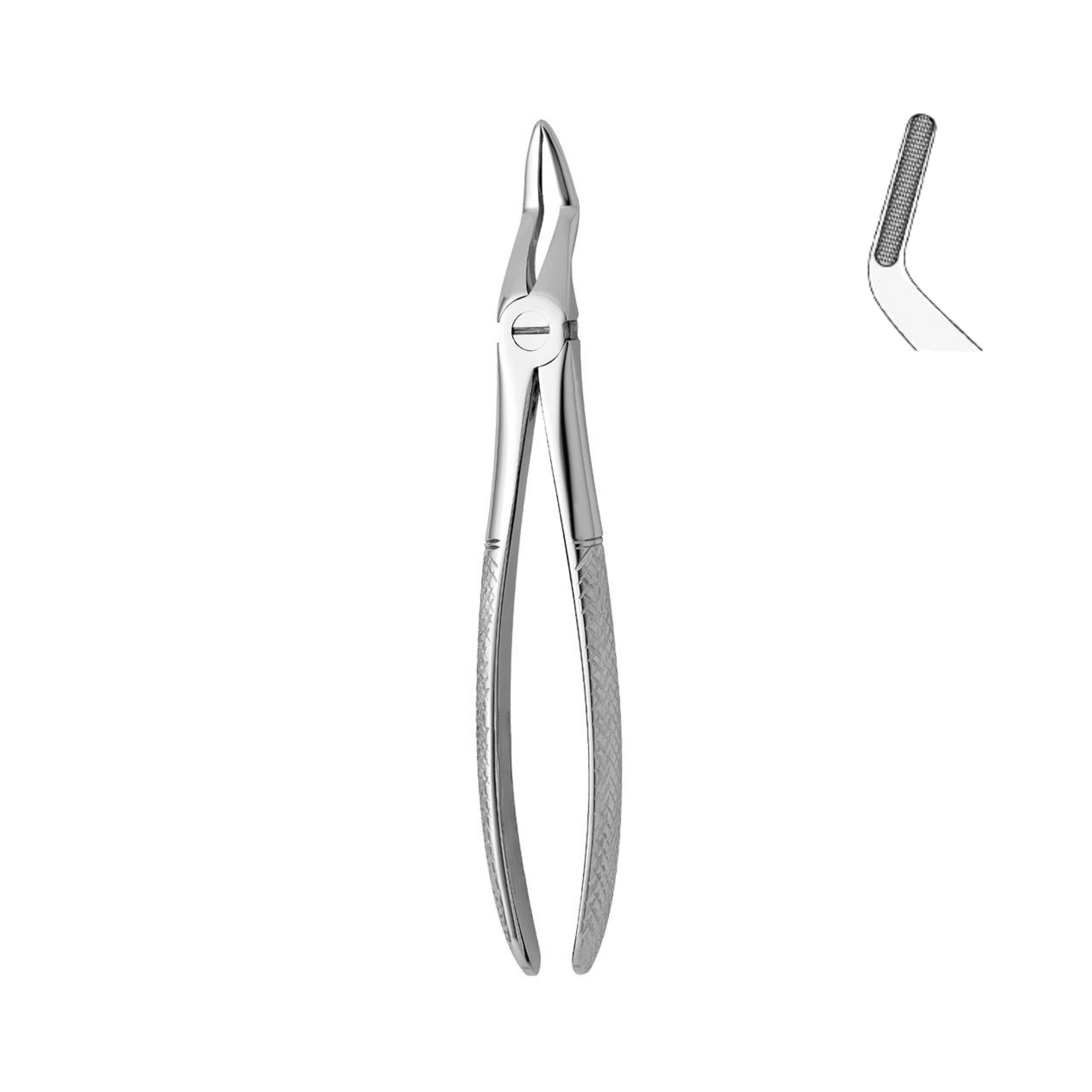 Dental Forceps, Upper Roots, Angled (13-044-00)
