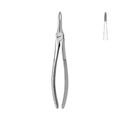 Dental Forceps, Upper Roots, Straight (13-043-00)