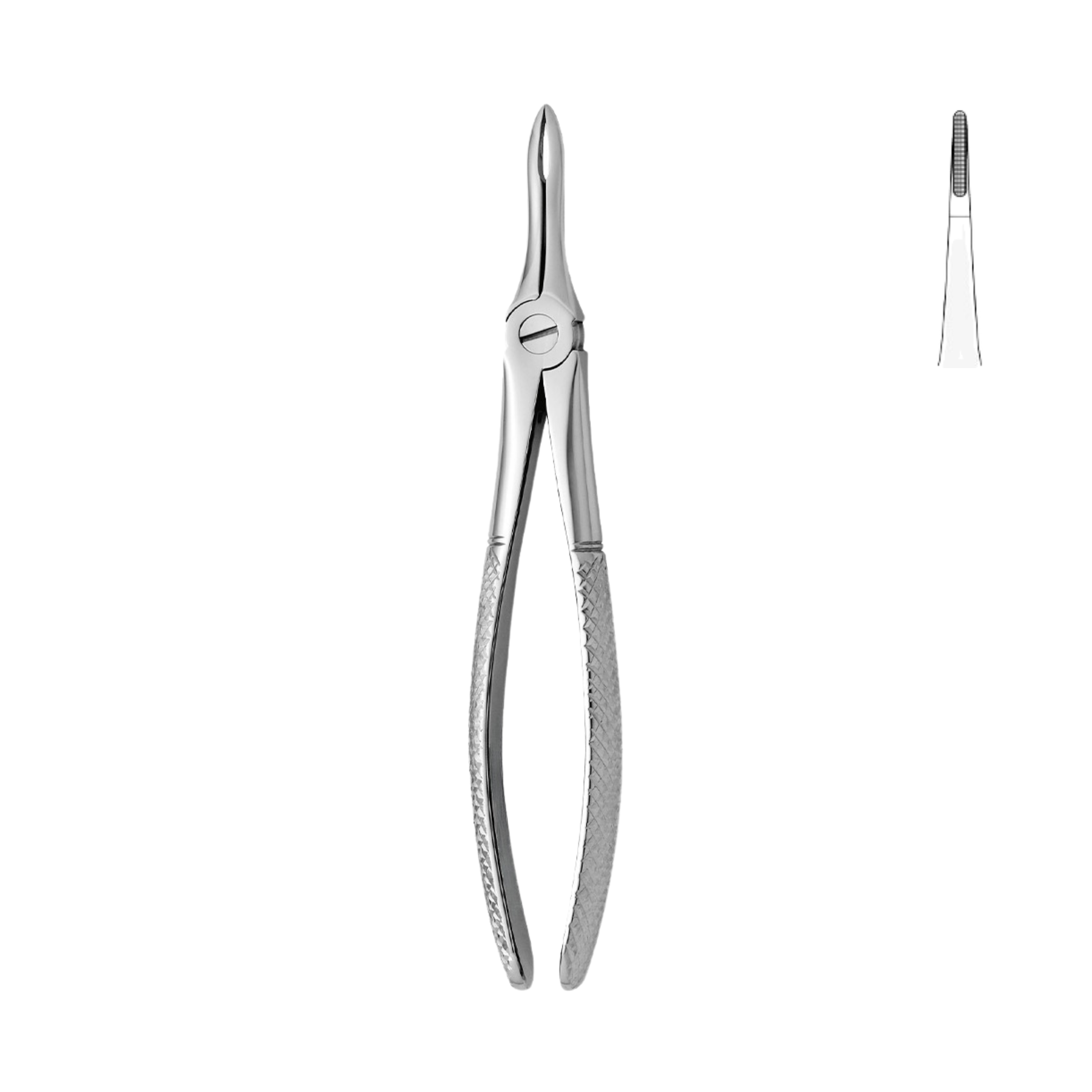 Dental Forceps, Upper Roots, Straight (13-043-00)