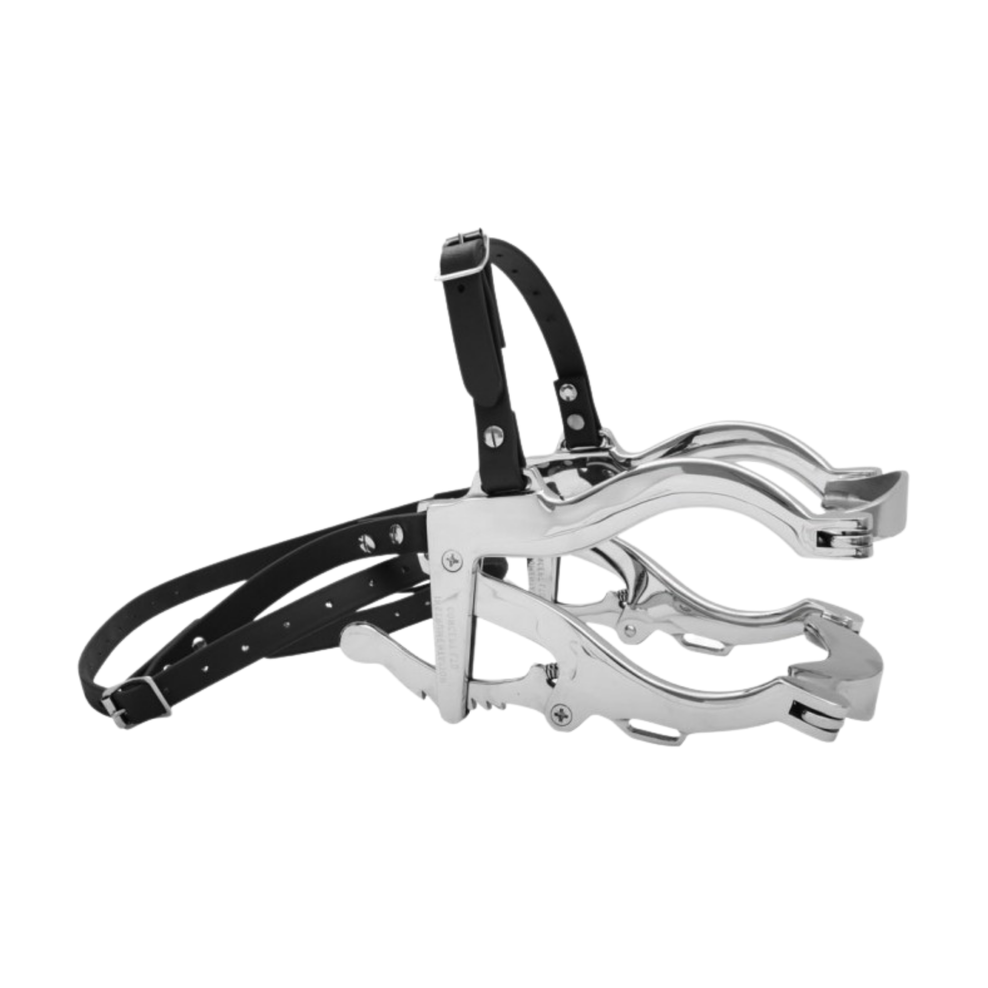 Hausmann Dental Speculum (53-010-00)