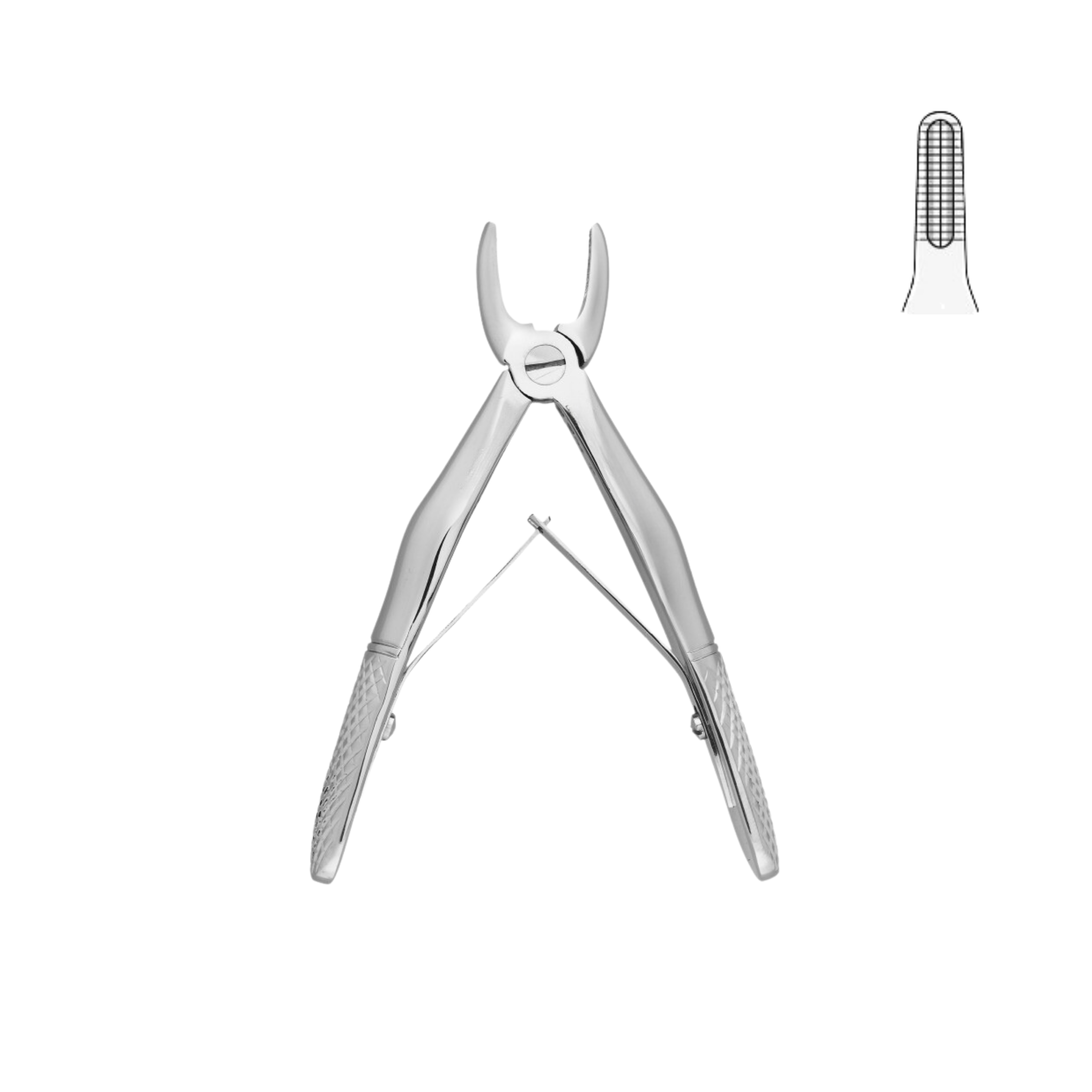 Klein Forceps, Fig. 137, Upper Incisors (13-030-00)
