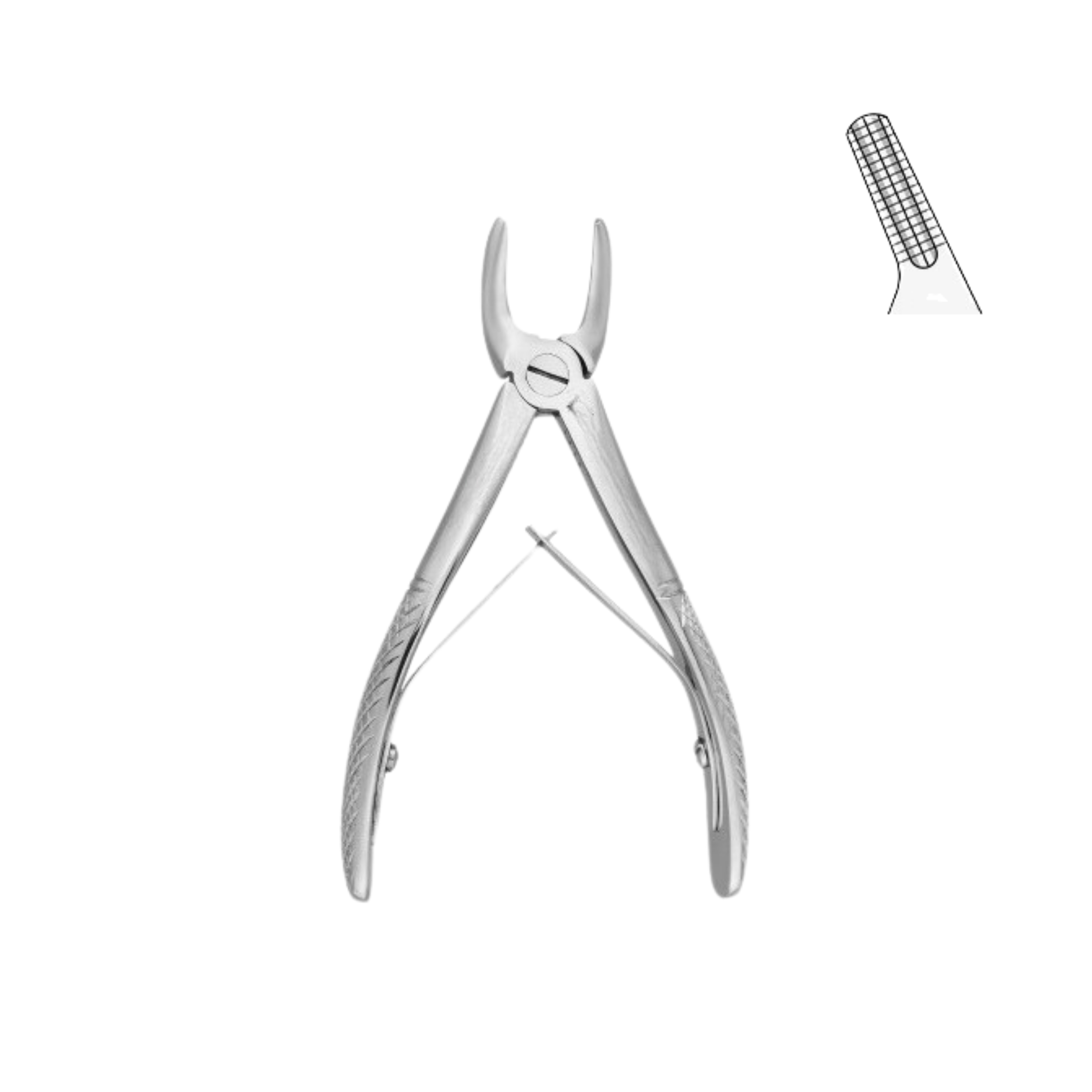 Klein Forceps, Fig. 139, Upper Premolars (13-031-00)