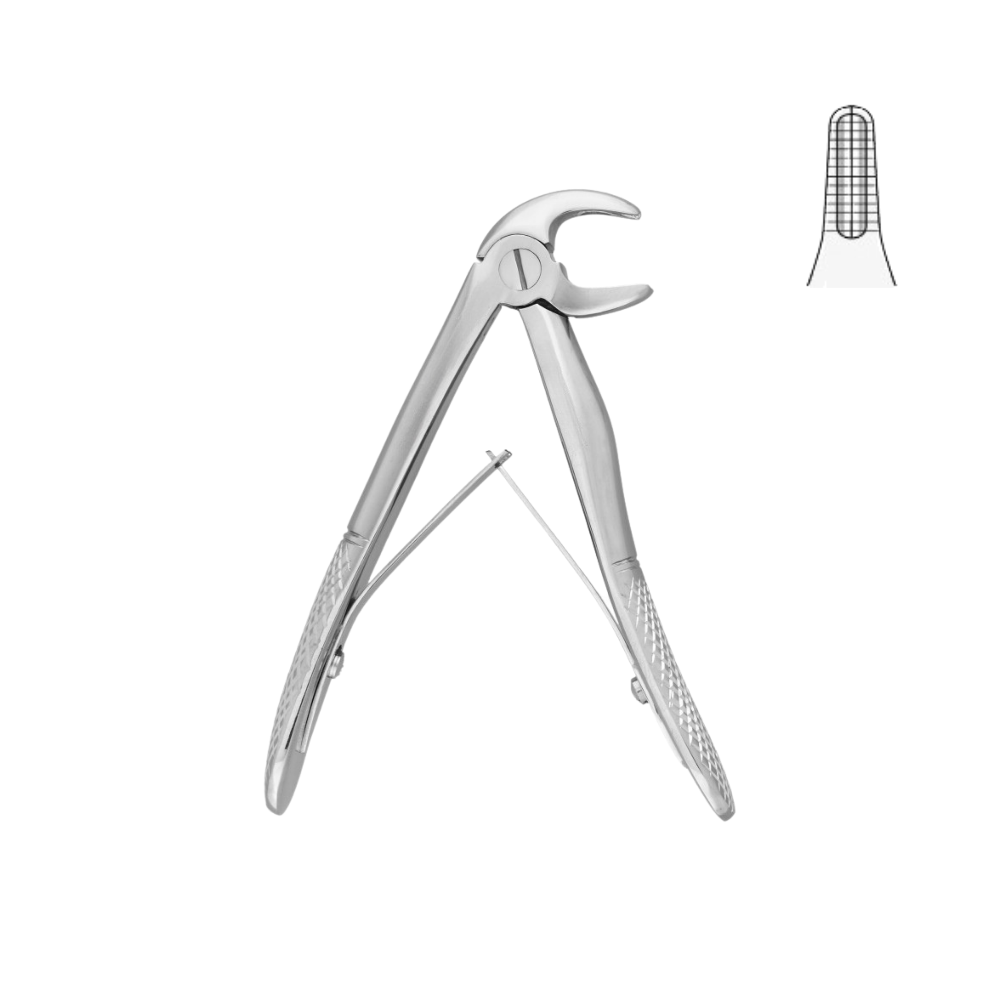 Klein Forceps, Fig. 5, Lower Incisors (13-034-00)