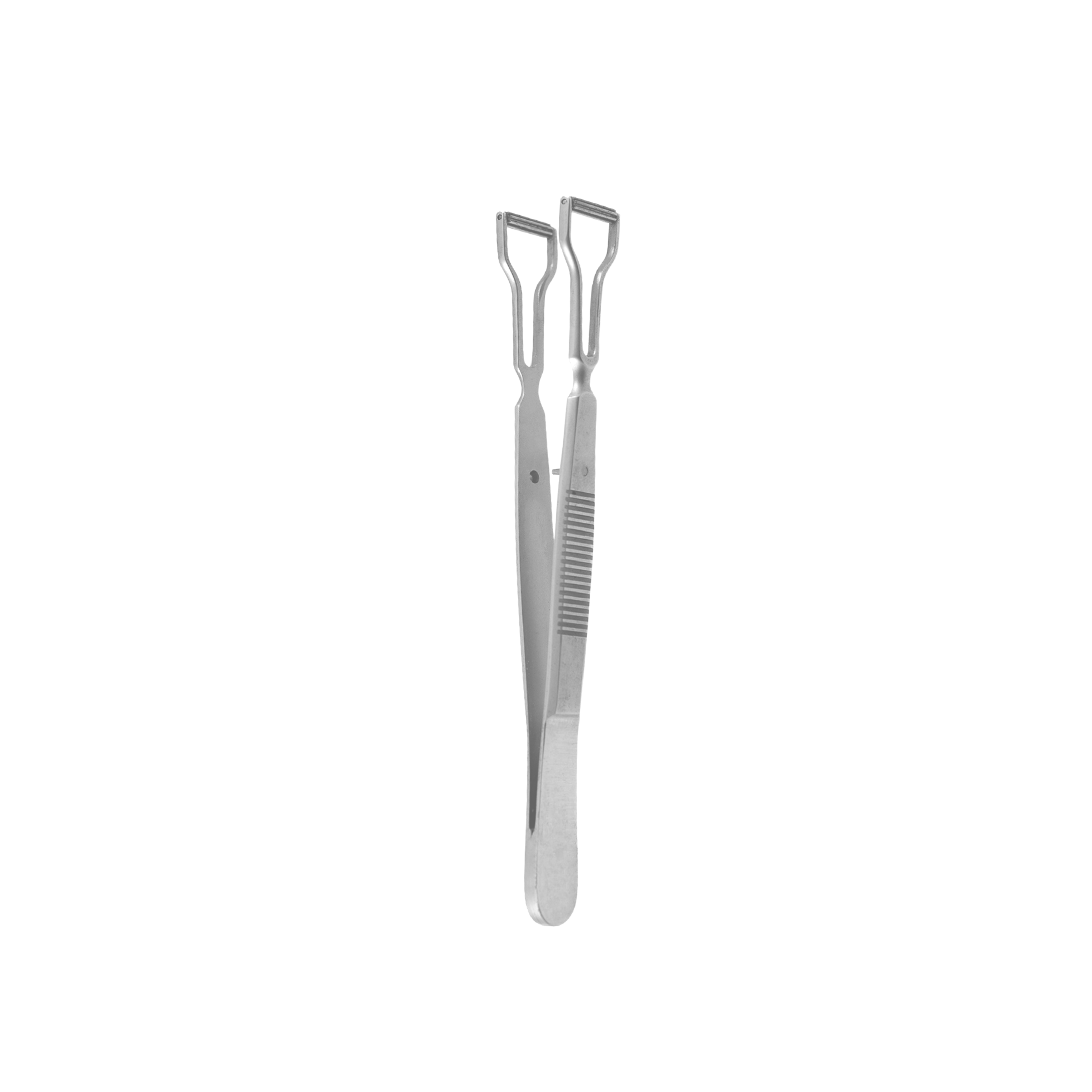 Knapp Trachoma Forceps, 11.0 cm (18-120-11)