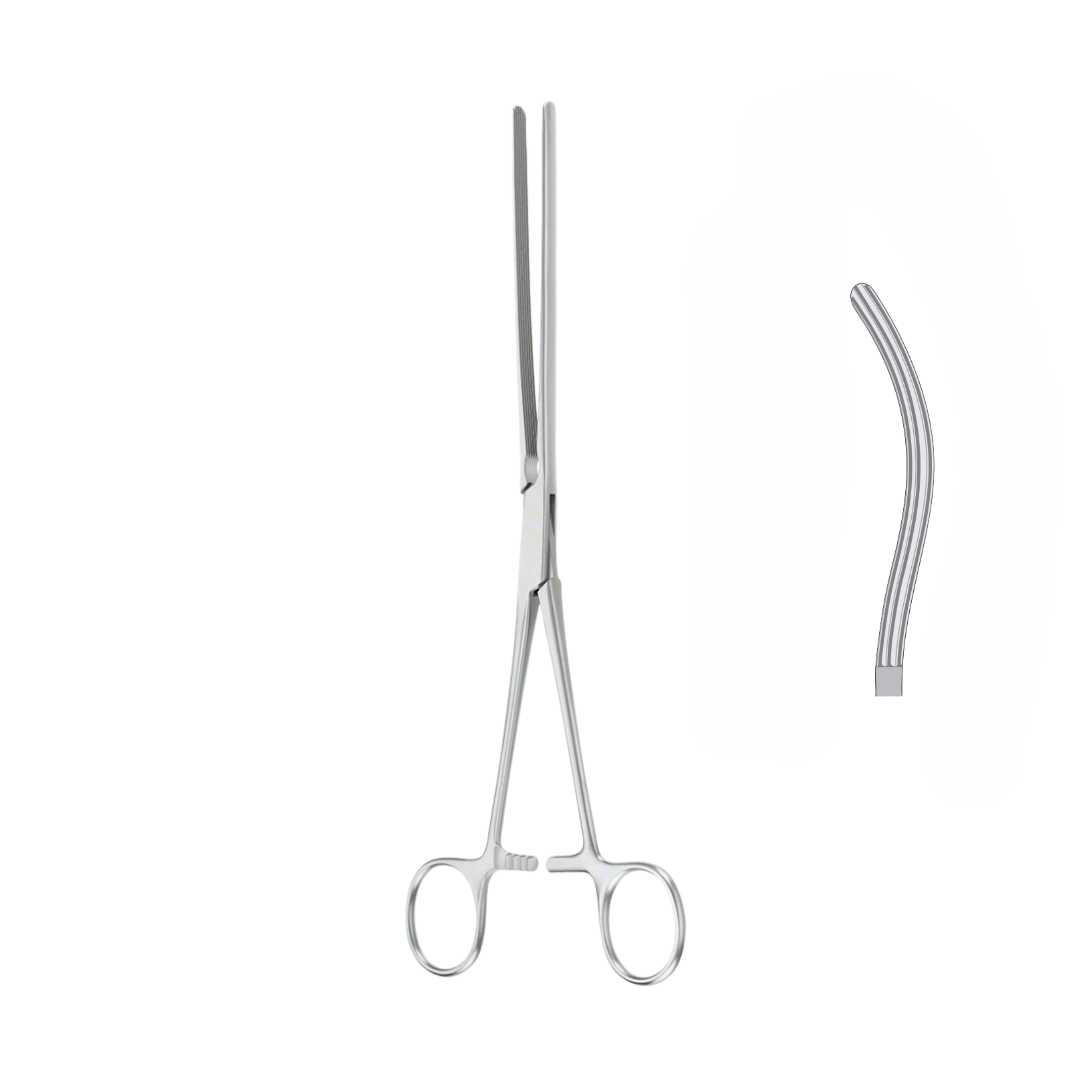 Kocher Intestinal Forceps, Curved, 22.0 cm (07-011-22)