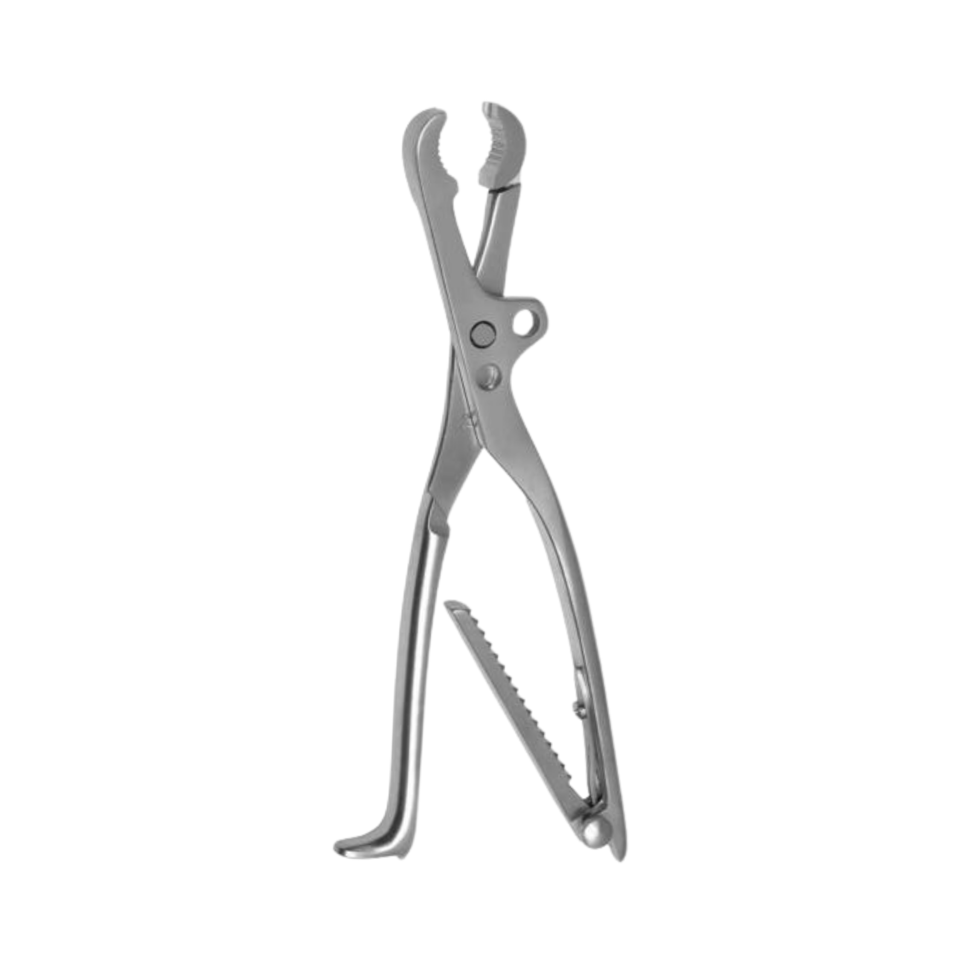 Lambotte Bone Holding Forceps, 27.0 cm (33-130-27)