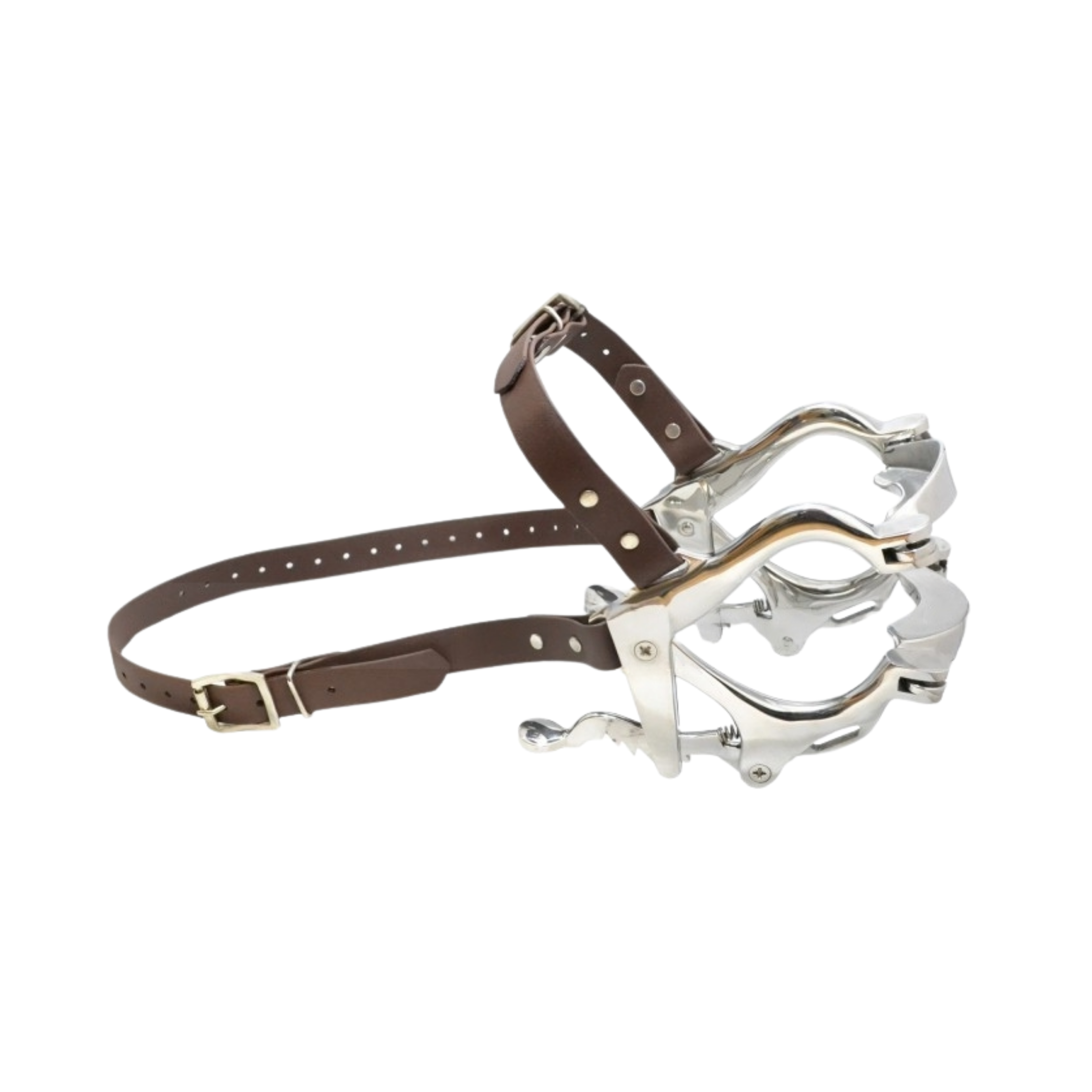 Pony Dental Speculum (53-012-00)