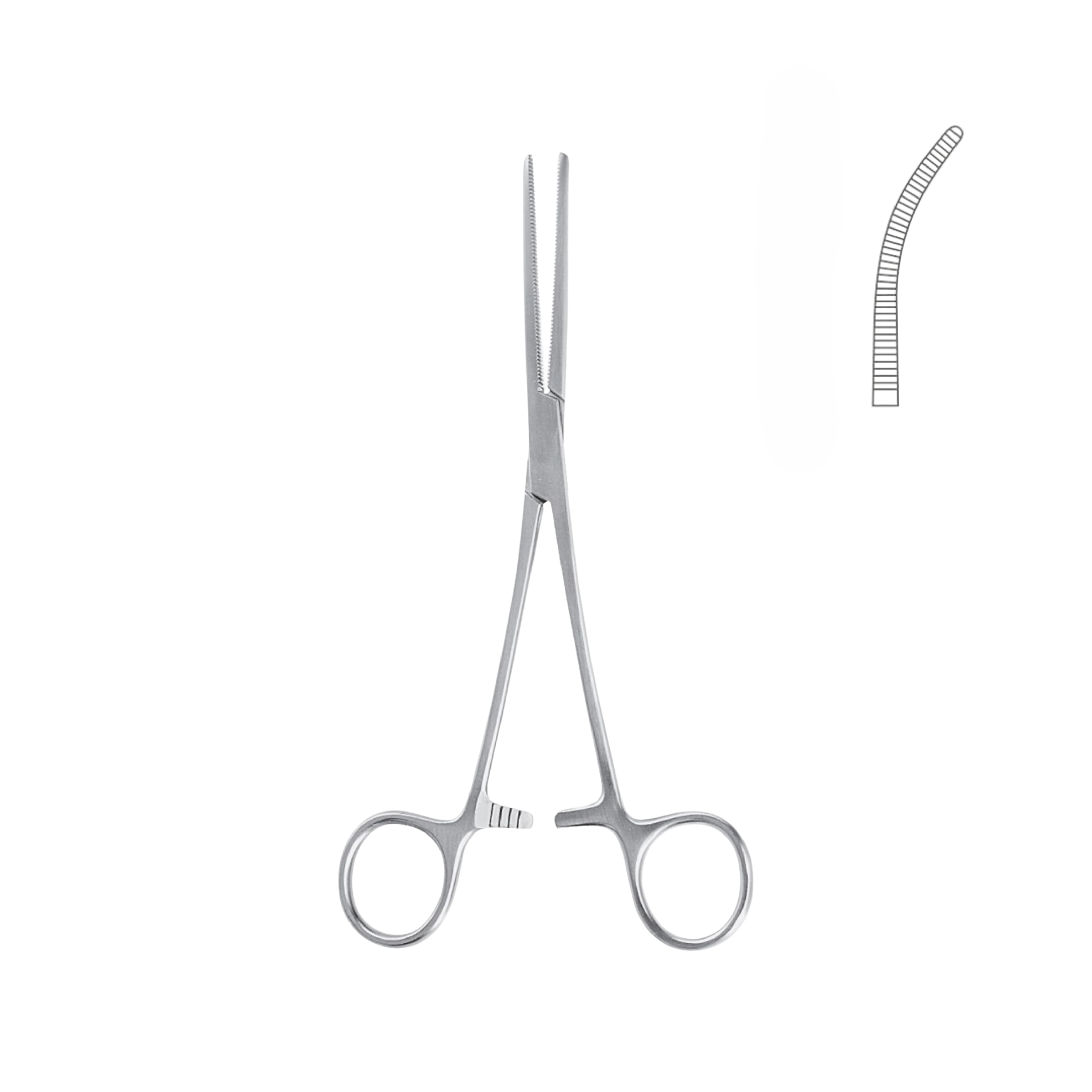 Rochester Pean Forceps, Curved, 24.0 cm (05-061-24)