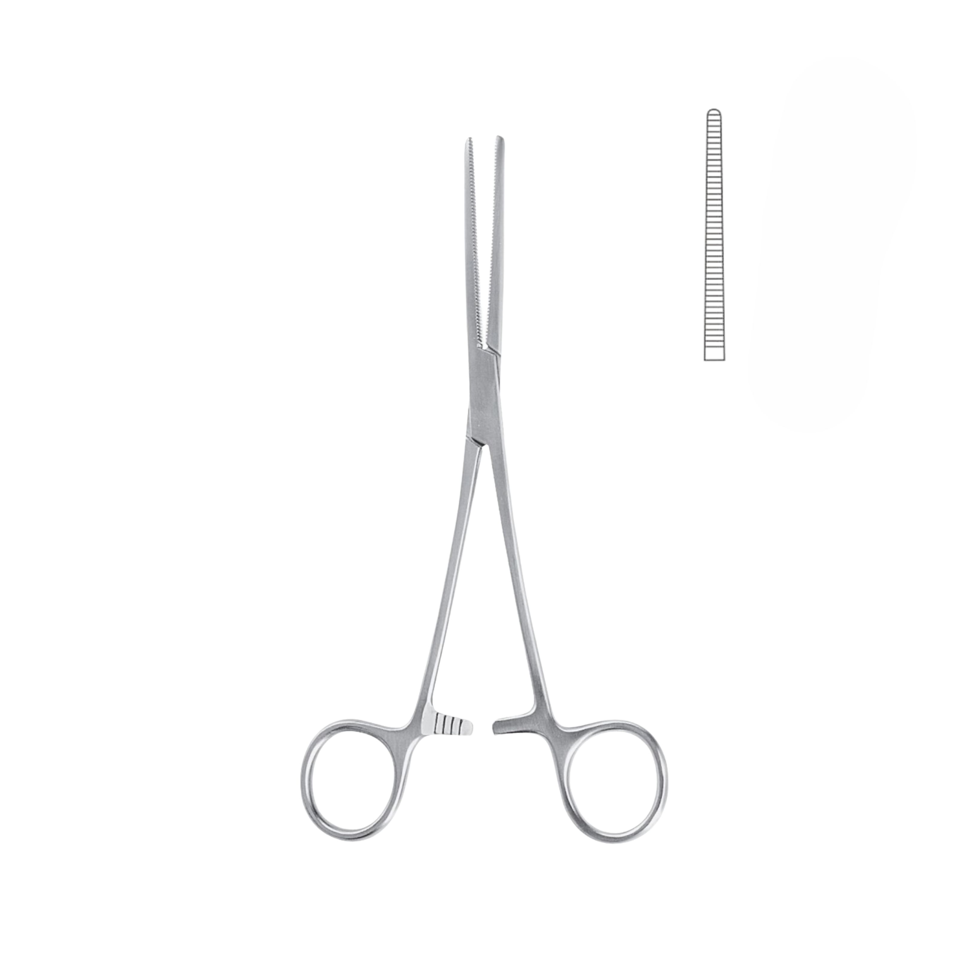 Rochester Pean Forceps, Straight, 22.0 cm (05-060-22)