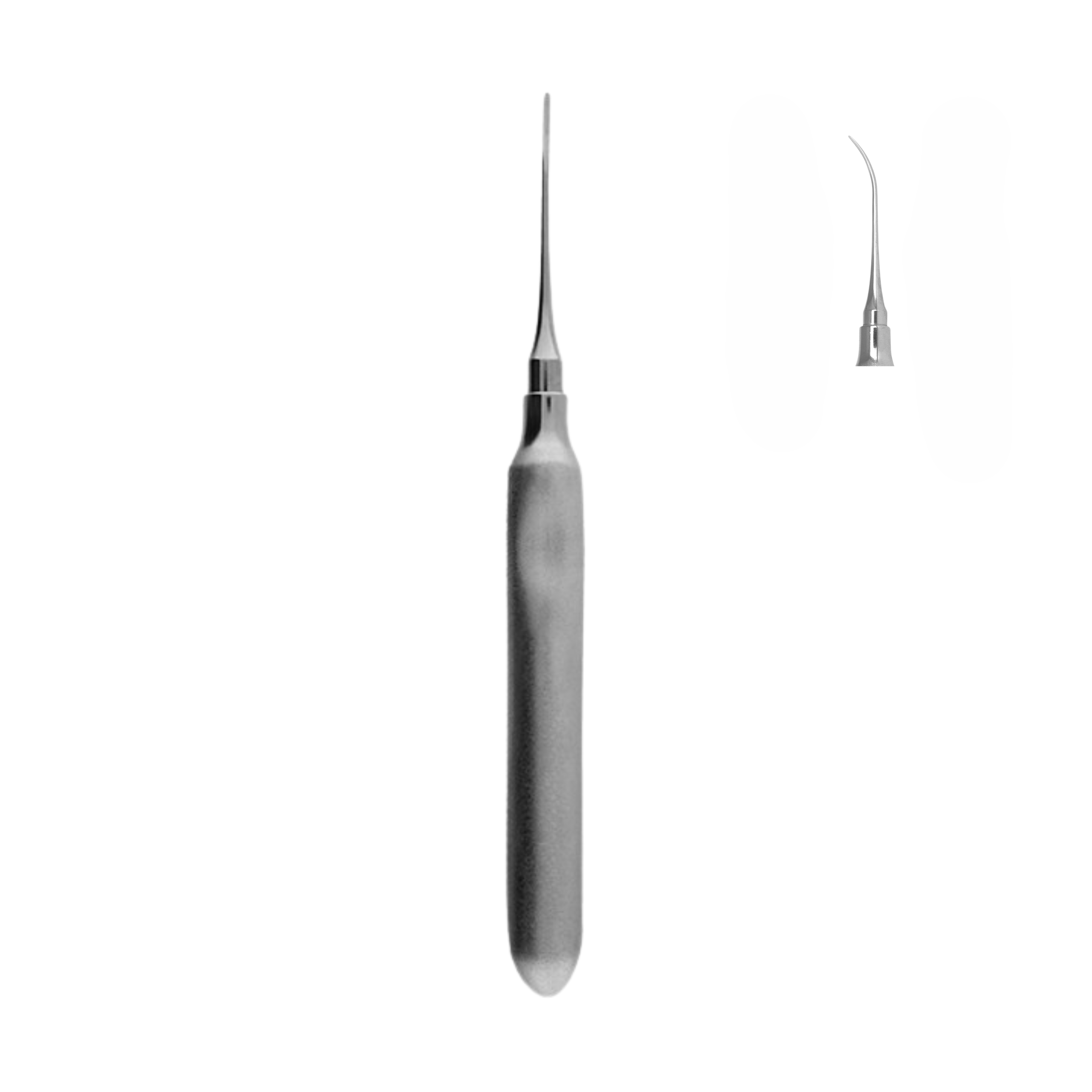 Root Elevator, Curved, Left, Ø 1.3 mm, 15.5 cm (11-010-01L)