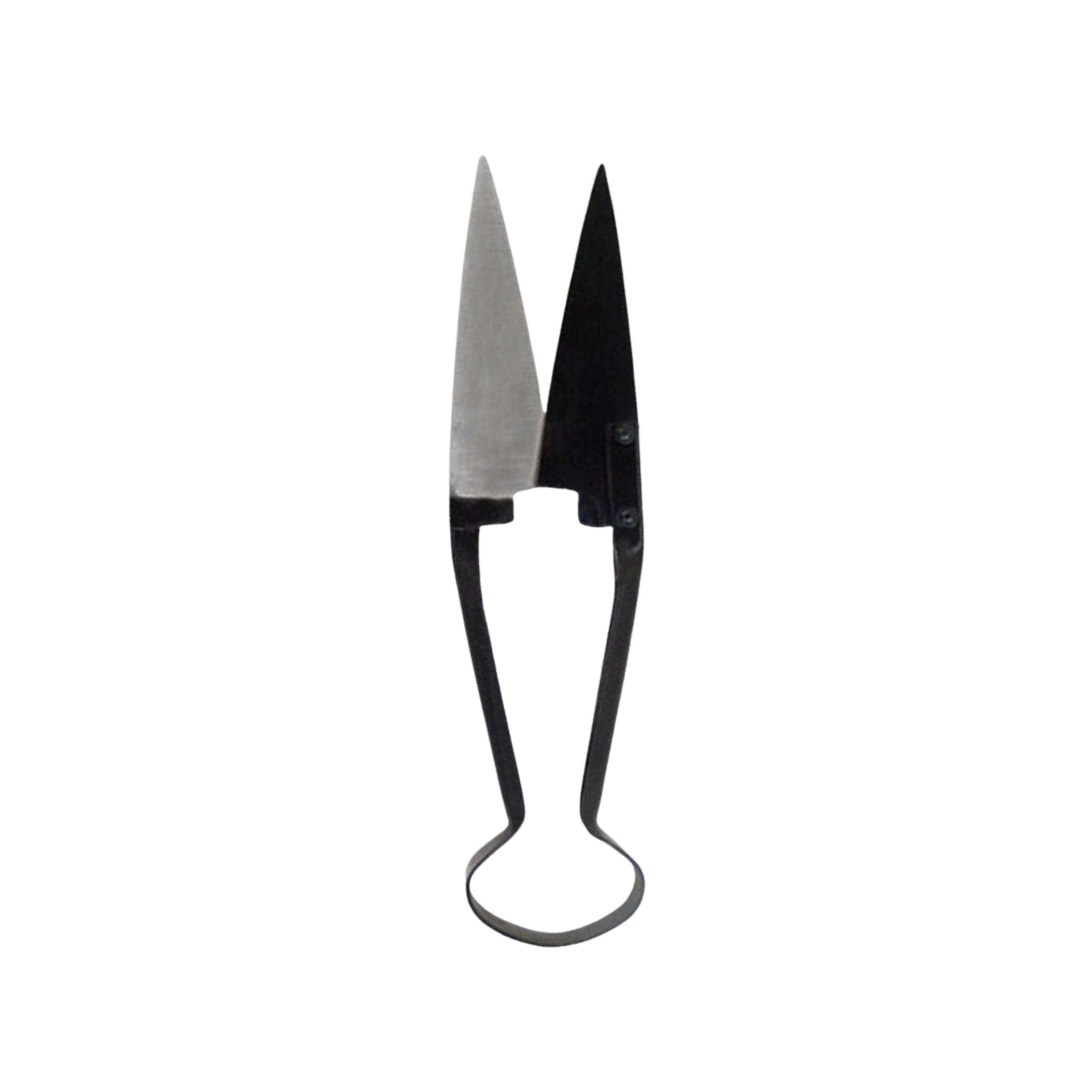 Sheep Shears, Angled, Small (61-081-00)